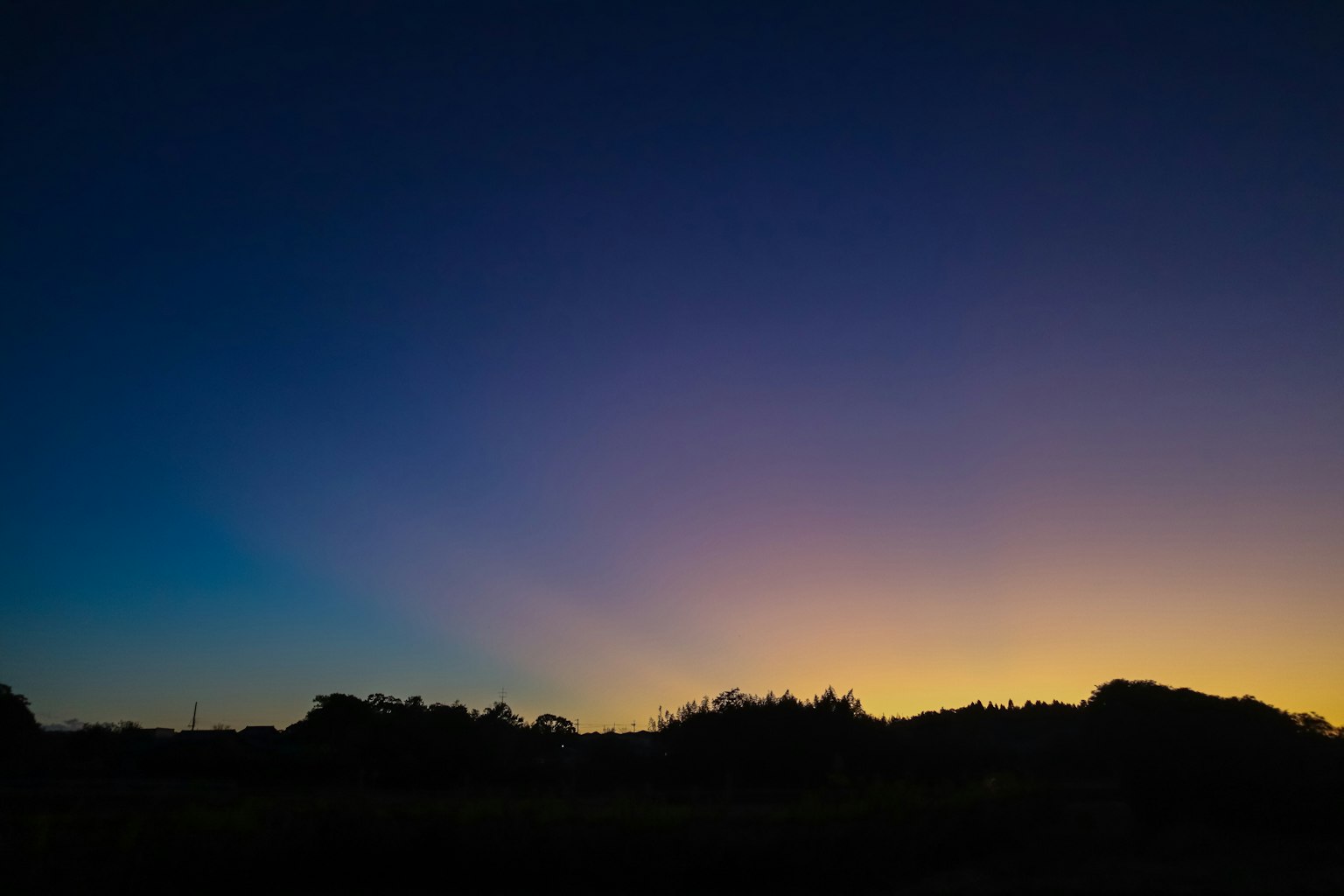 Cielo sfumato al tramonto con silhouette di alberi
