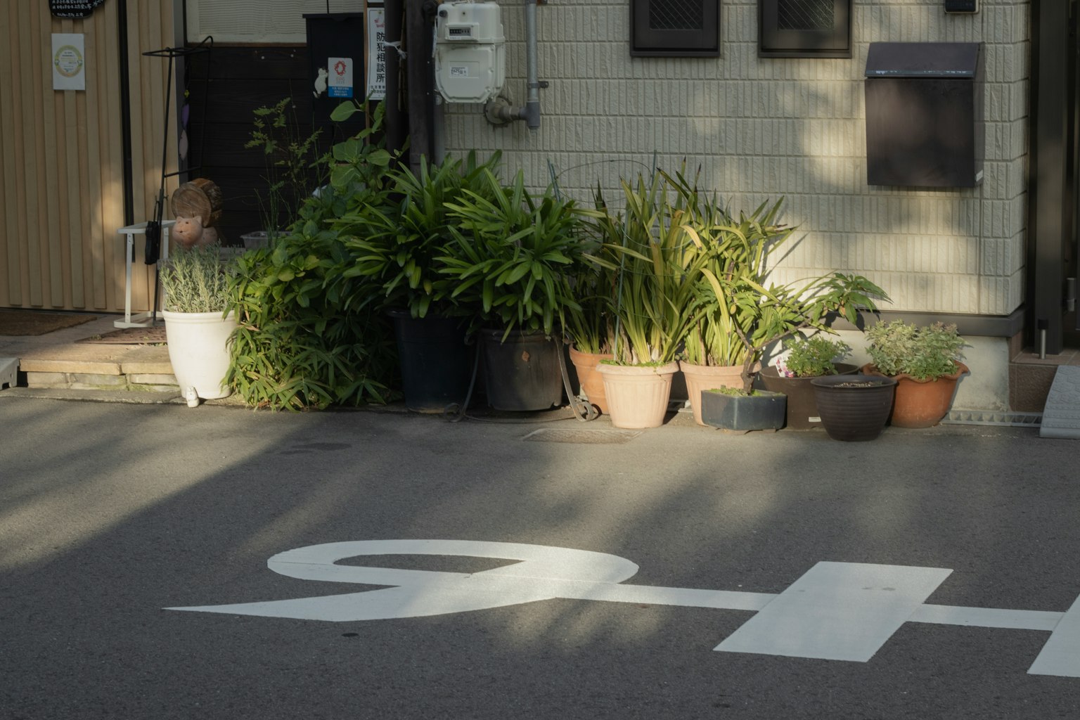 Scène avec divers pots de fleurs et plantes le long de la route