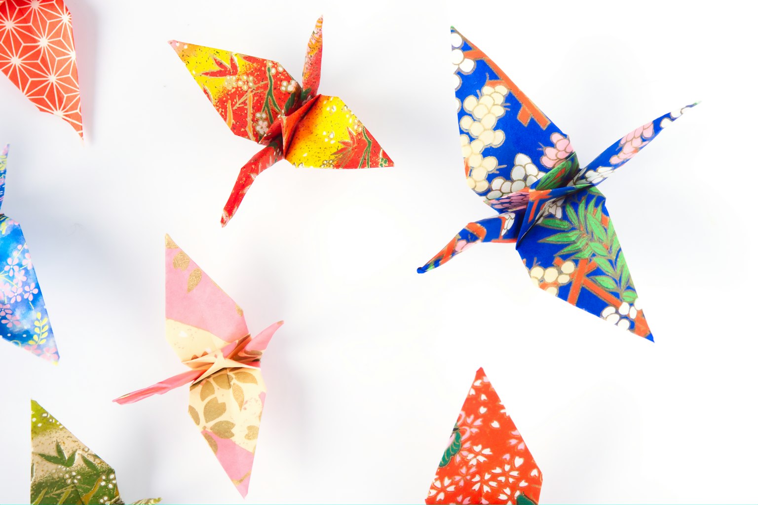 Cú đậu origami nhiều màu sắc bay trên nền trắng