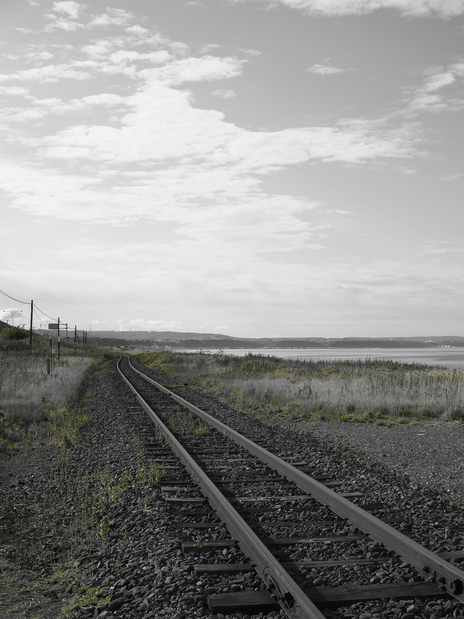 Binari ferroviari in bianco e nero che attraversano un prato con vista sul mare in lontananza