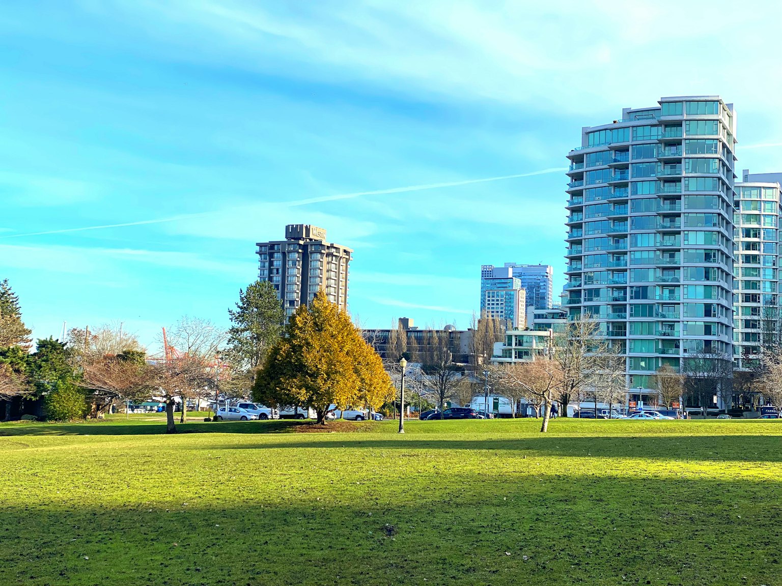 Césped verde del parque con edificios altos de fondo y cielo azul claro