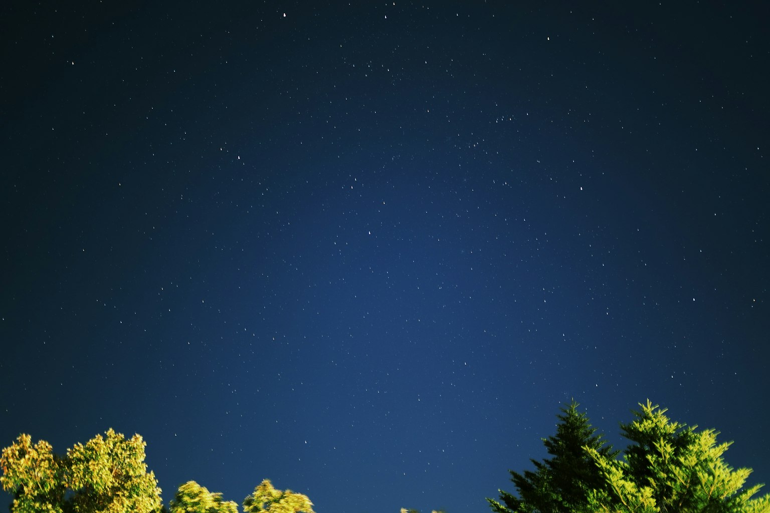 繁星點點的夜空和樹木的輪廓