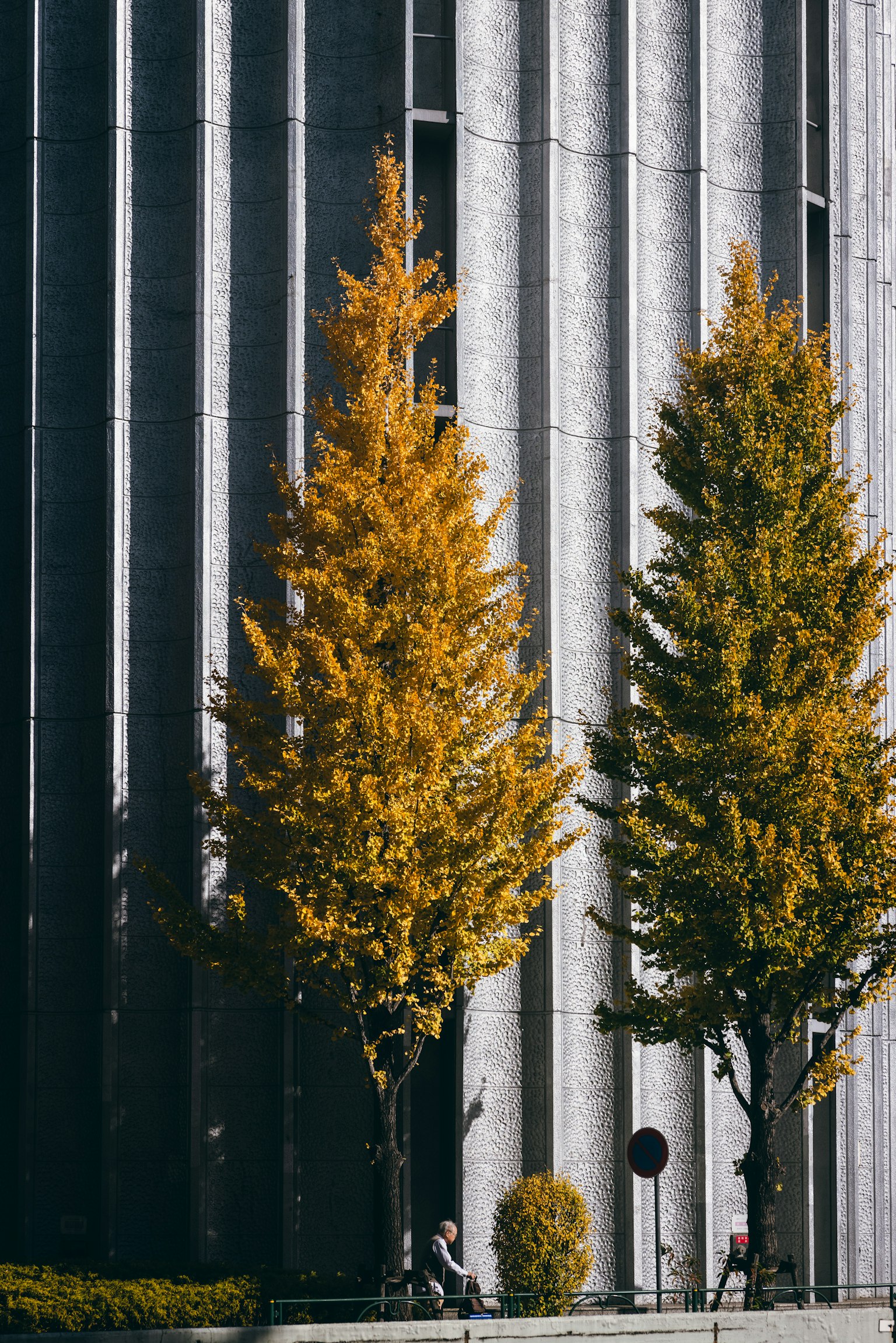 Landscape featuring yellow trees in front of a silver building