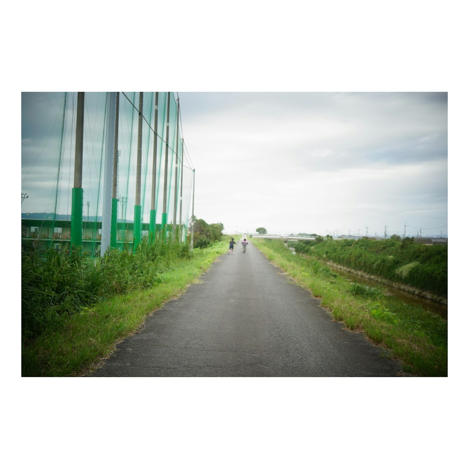 緑の草に囲まれた舗装された道を自転車で走る二人の人物