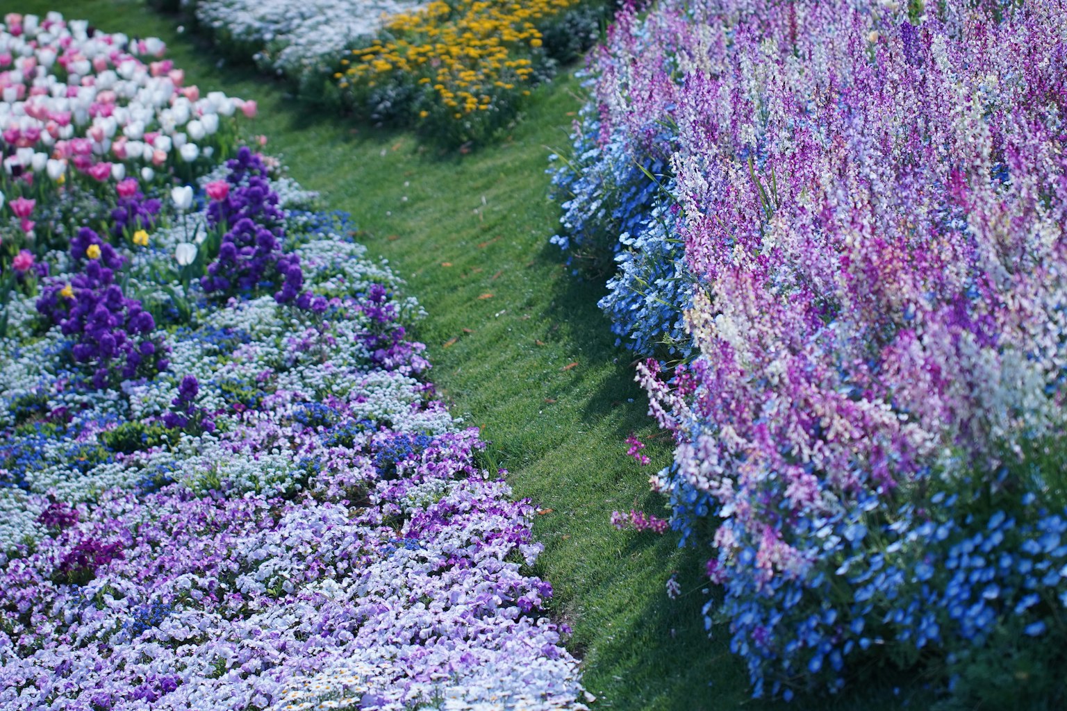 Giardino di fiori vibranti con fiori colorati e verde lussureggiante