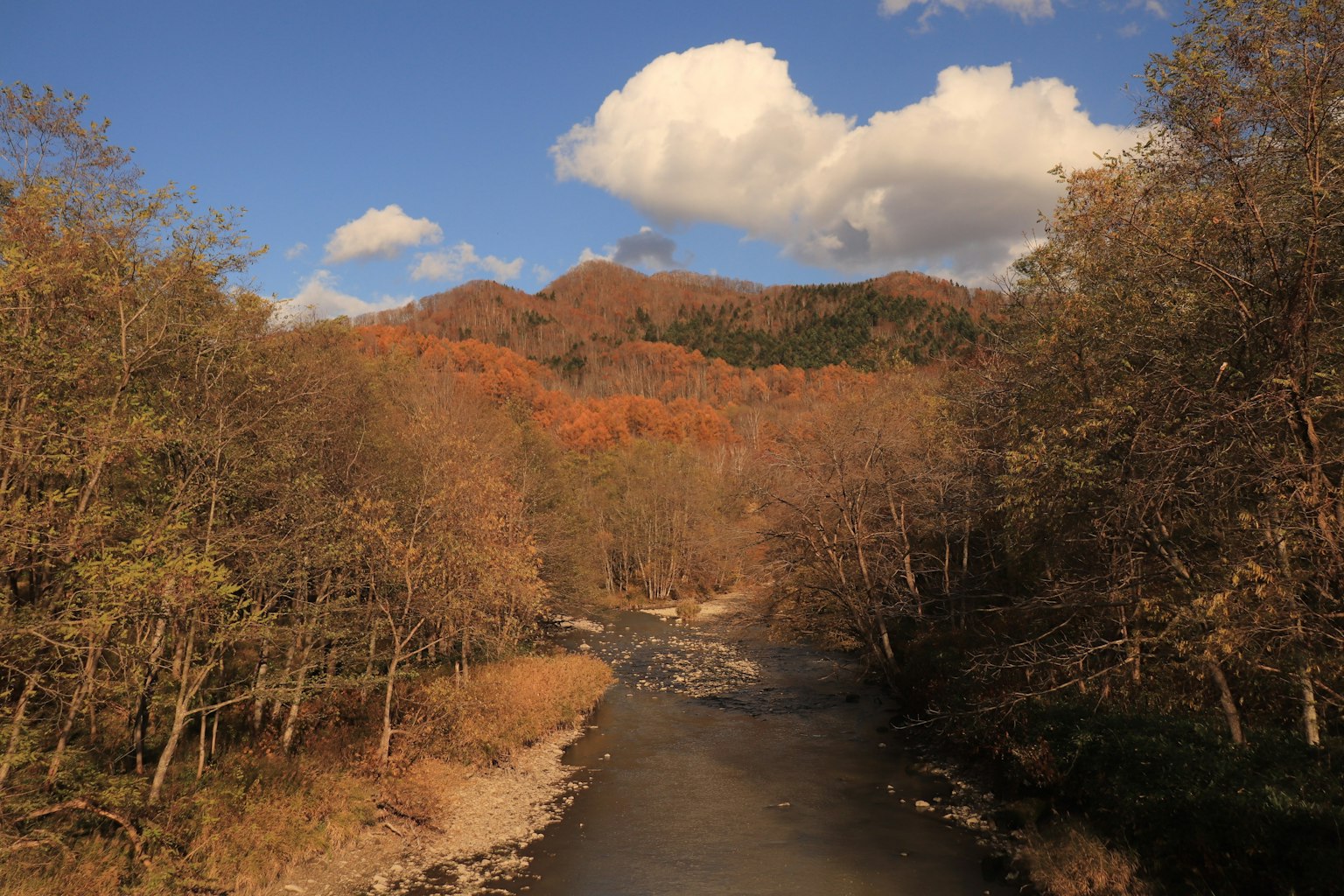 Fiume circondato da foglie autunnali e cielo blu