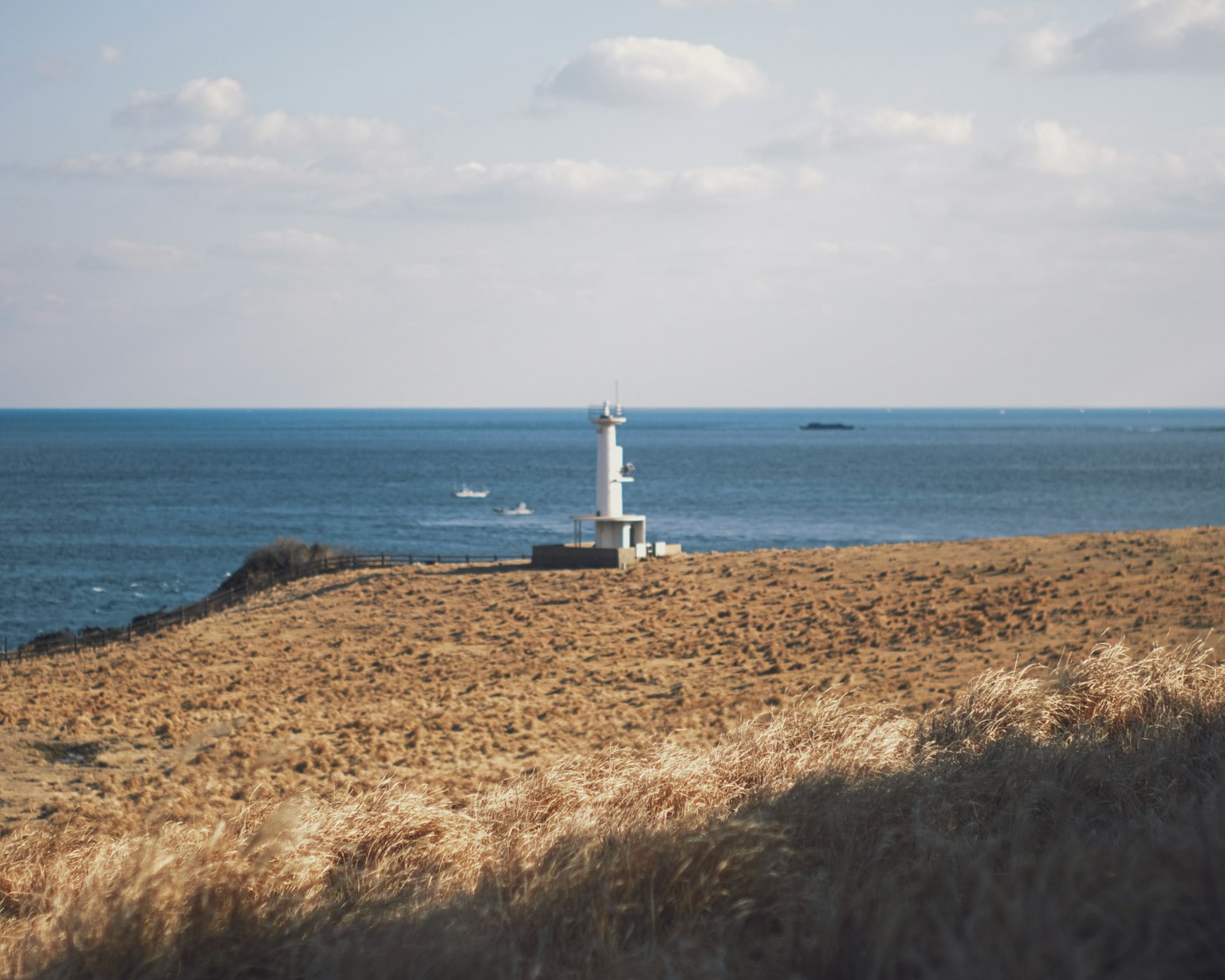 White lighthouse near the sea with a dry grassland landscape