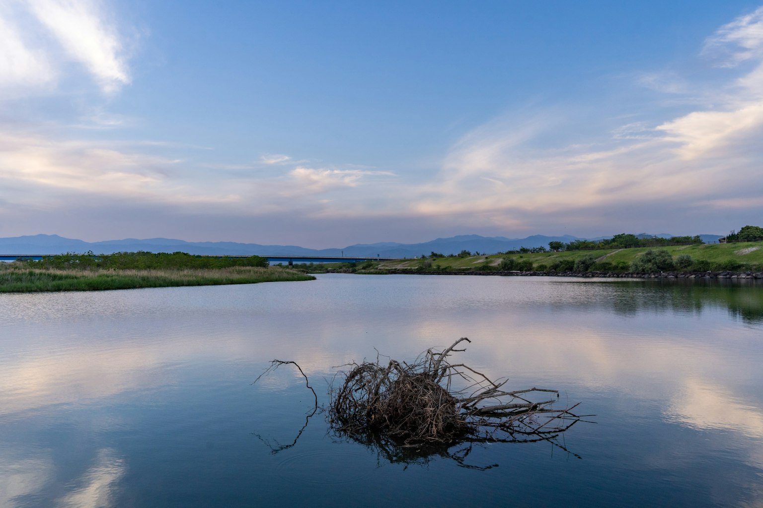 Un lago tranquilo reflejando un manojo de hierba seca y un cielo azul