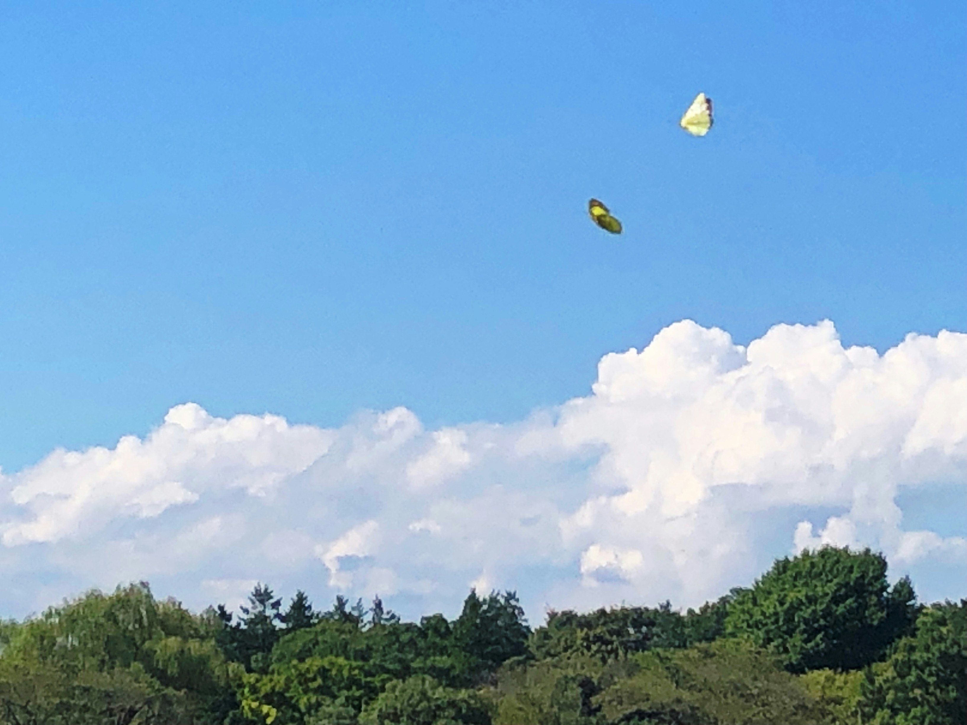small paper pieces floating in a blue sky with clouds