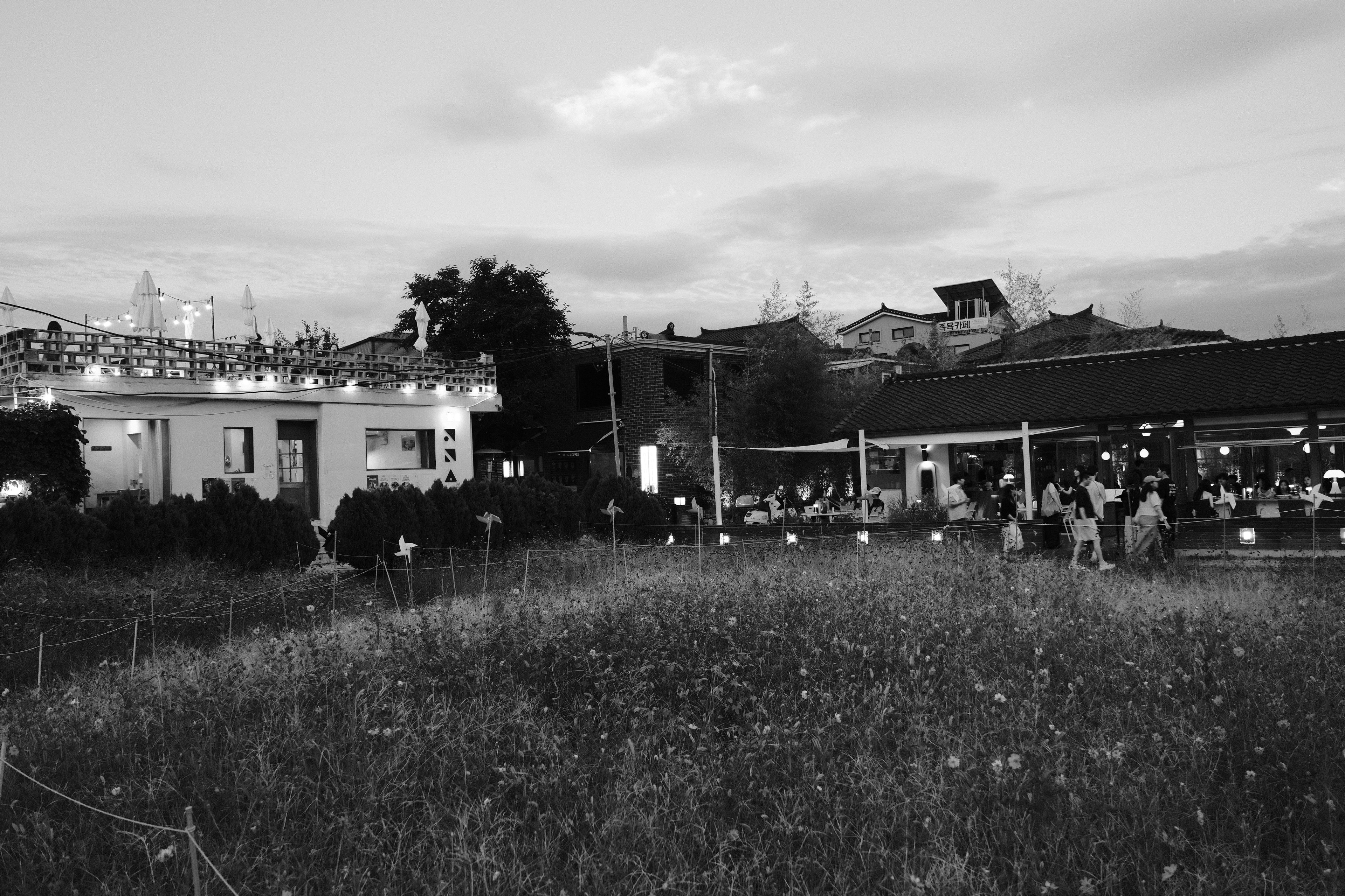 photo-2079eUEAlskllP1jpzu2