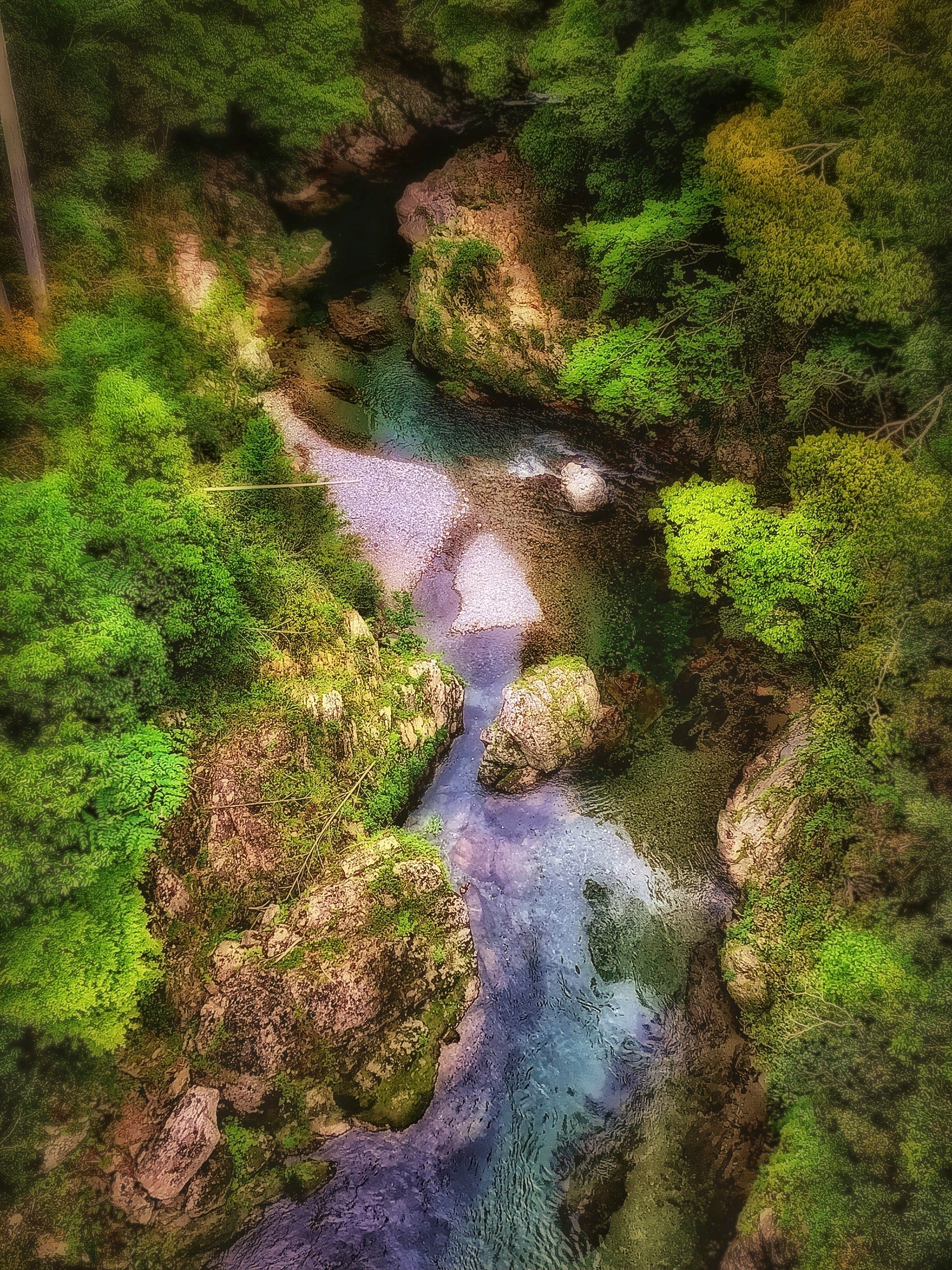 三重県の川の流れを上空から見下ろした風景