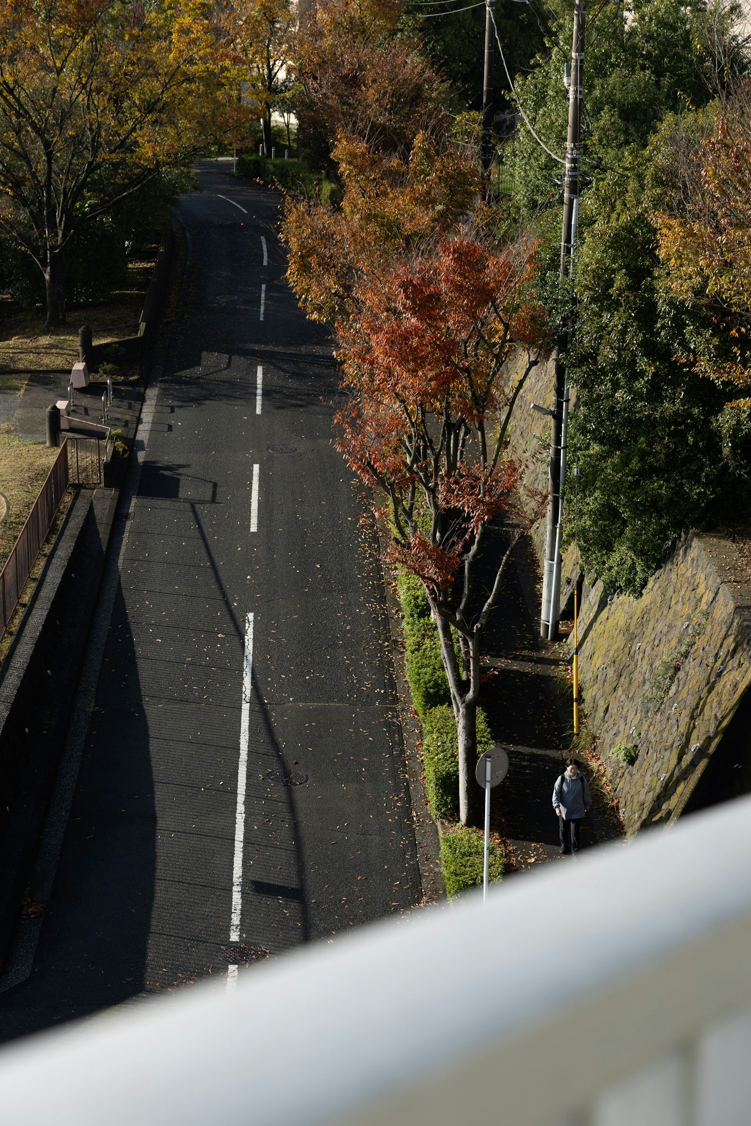 Herbstszene mit einer ruhigen Straße, gesäumt von Bäumen