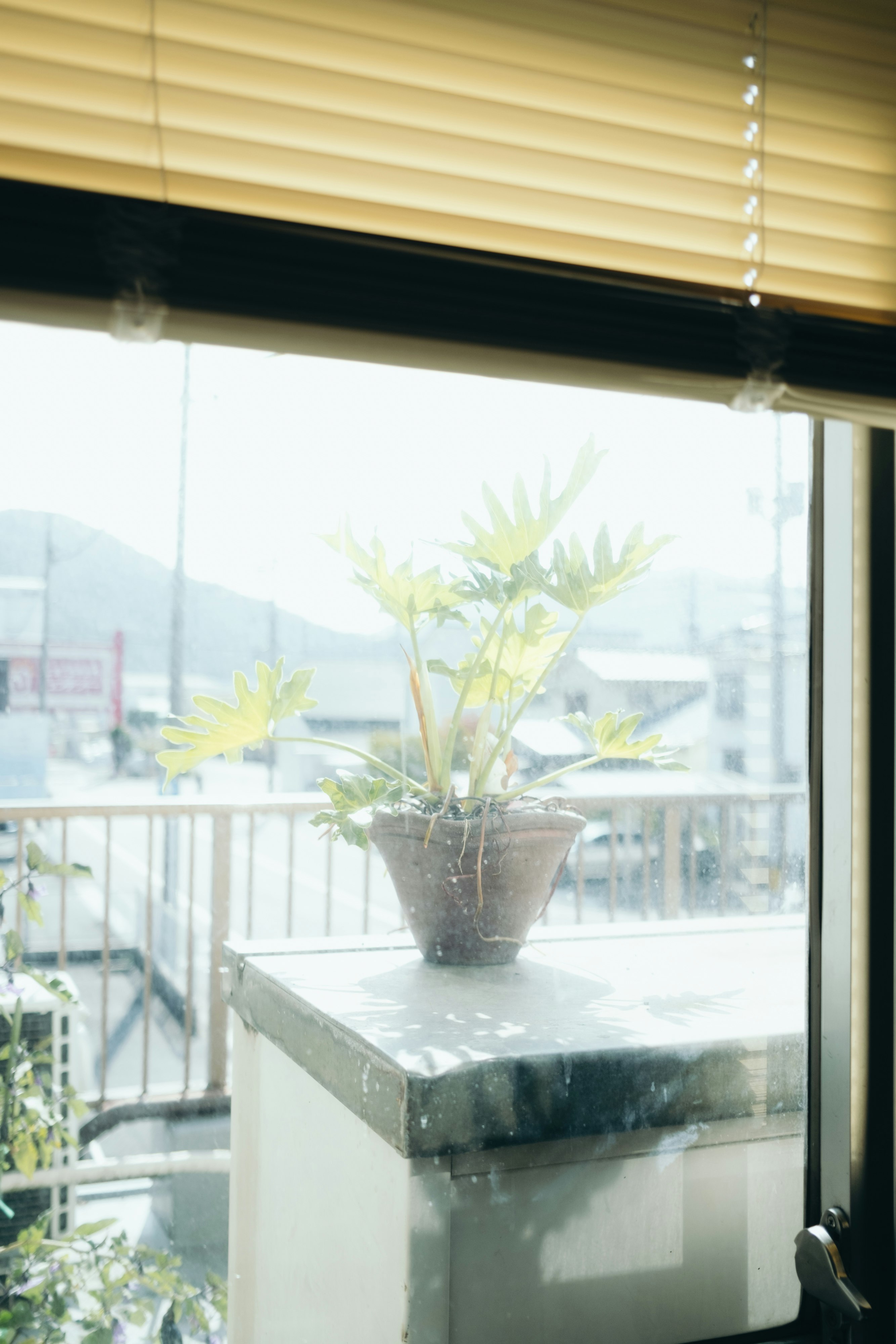 窓辺の鉢植えとベンチのある明るい室内空間