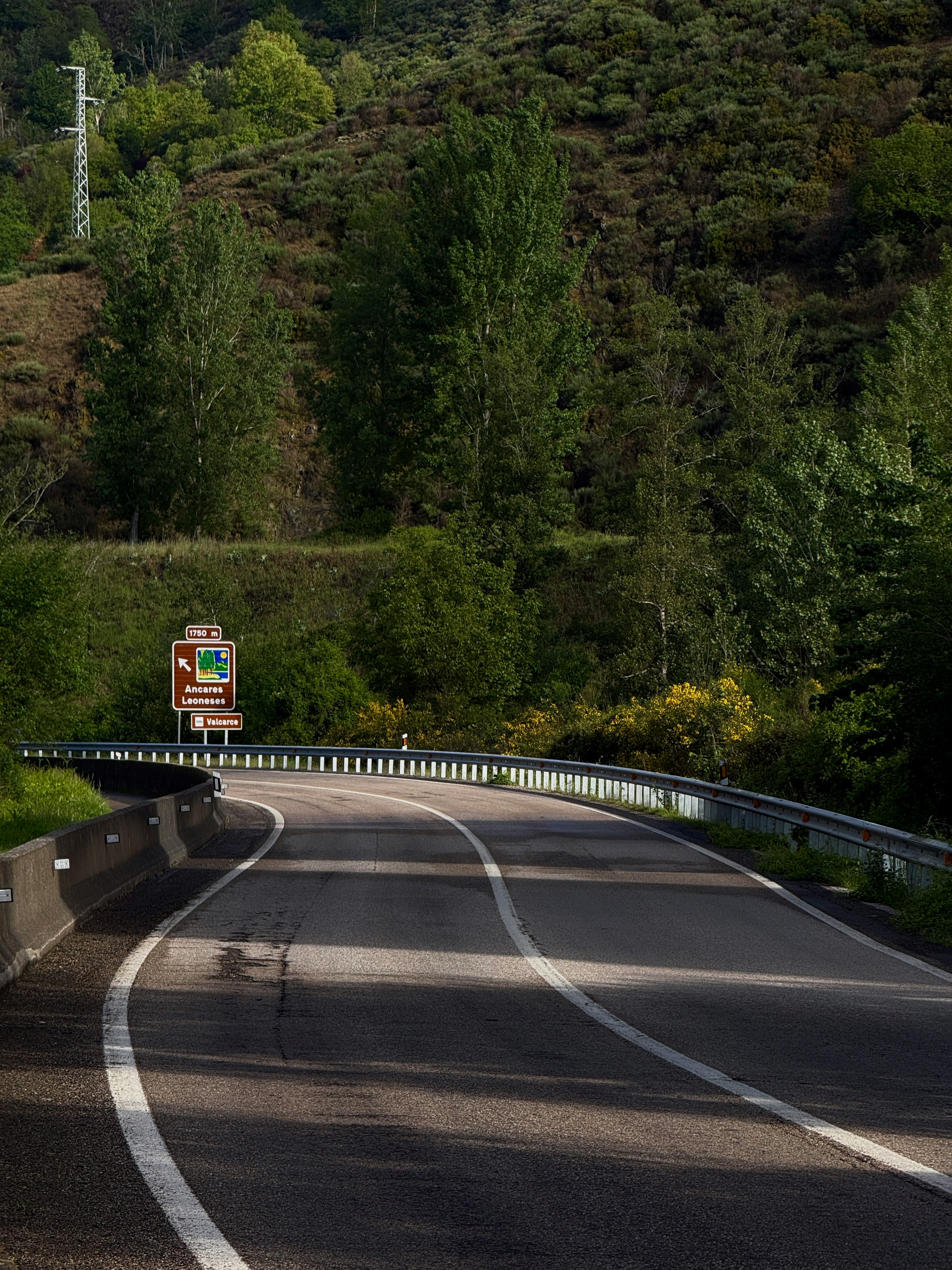 緑の山に囲まれたカーブする道路の風景