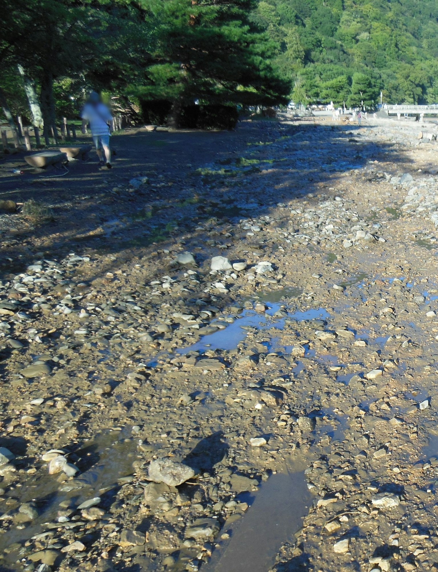 河岸風景，石頭和水窪反射陽光