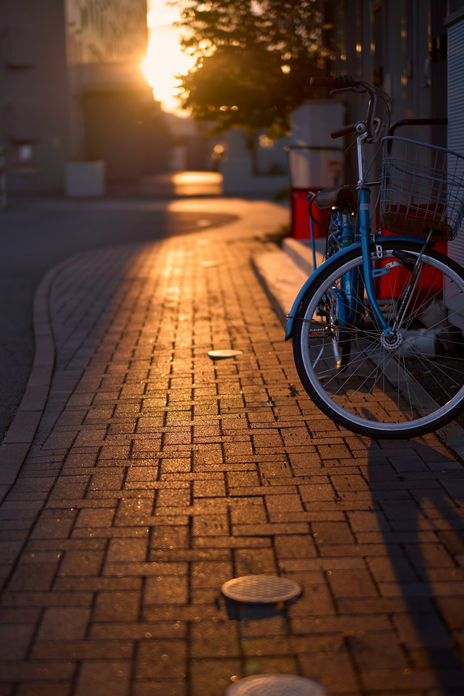 Blaue Fahrrad und rote Stühle auf einem sonnenbeschienenen Weg bei Sonnenuntergang