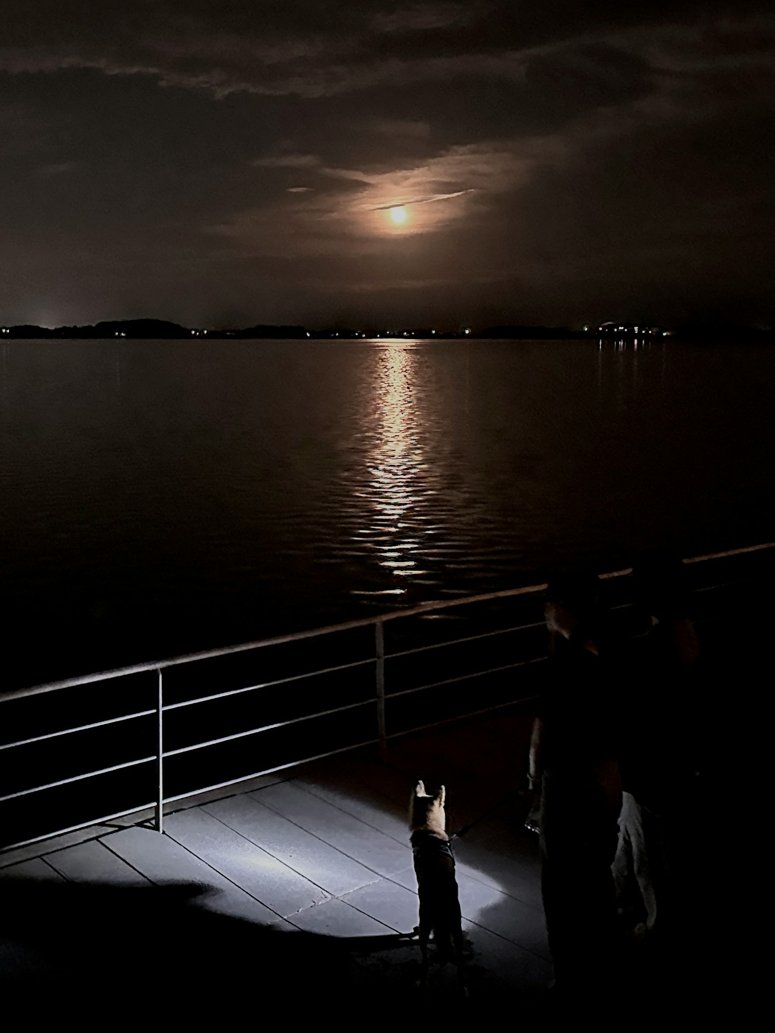Scena notturna di un lungomare con il riflesso della luna sull'acqua e silhouette di persone
