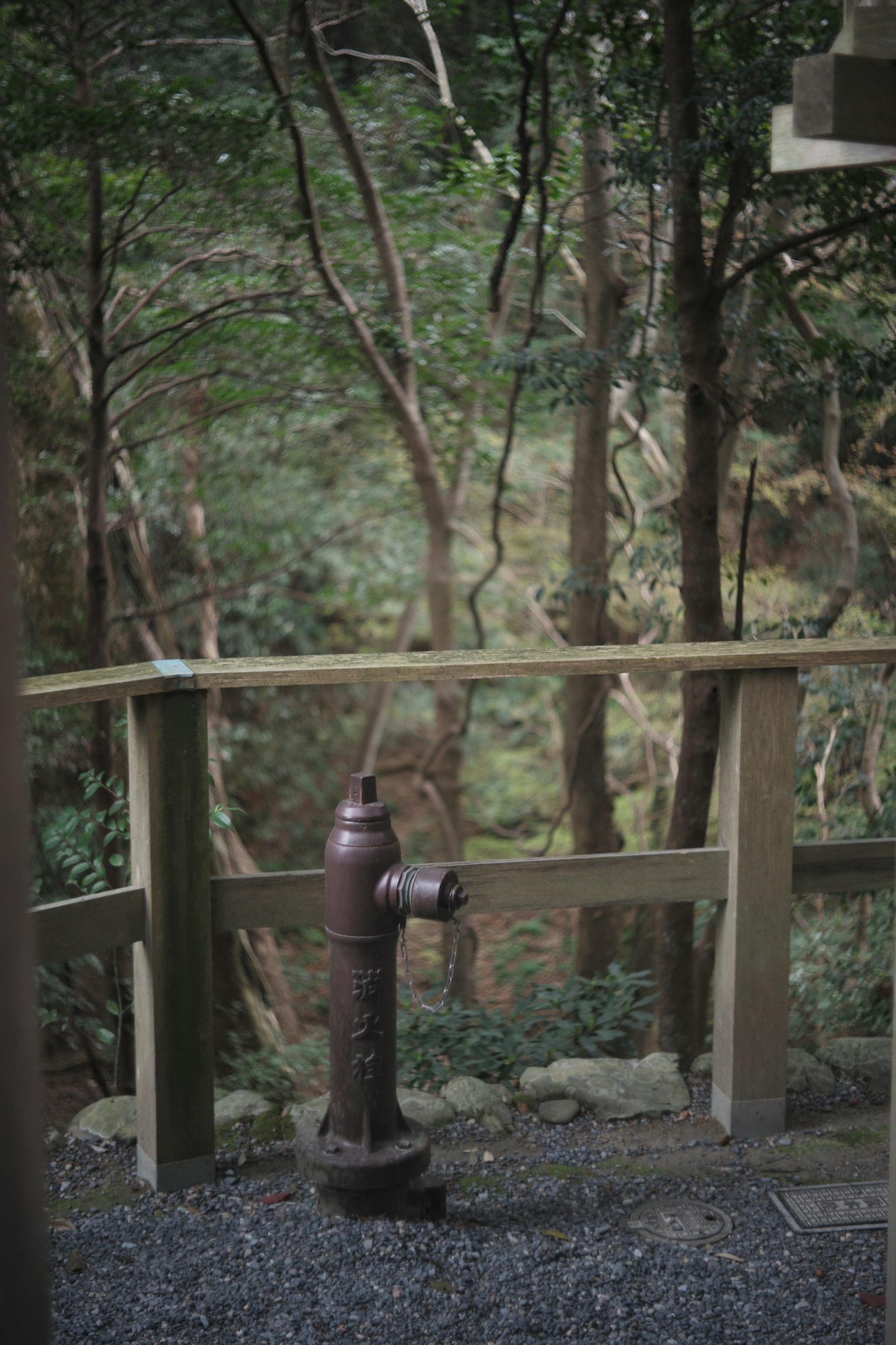 Ein alter Hydrant neben einem Holzzaun in einem Wald