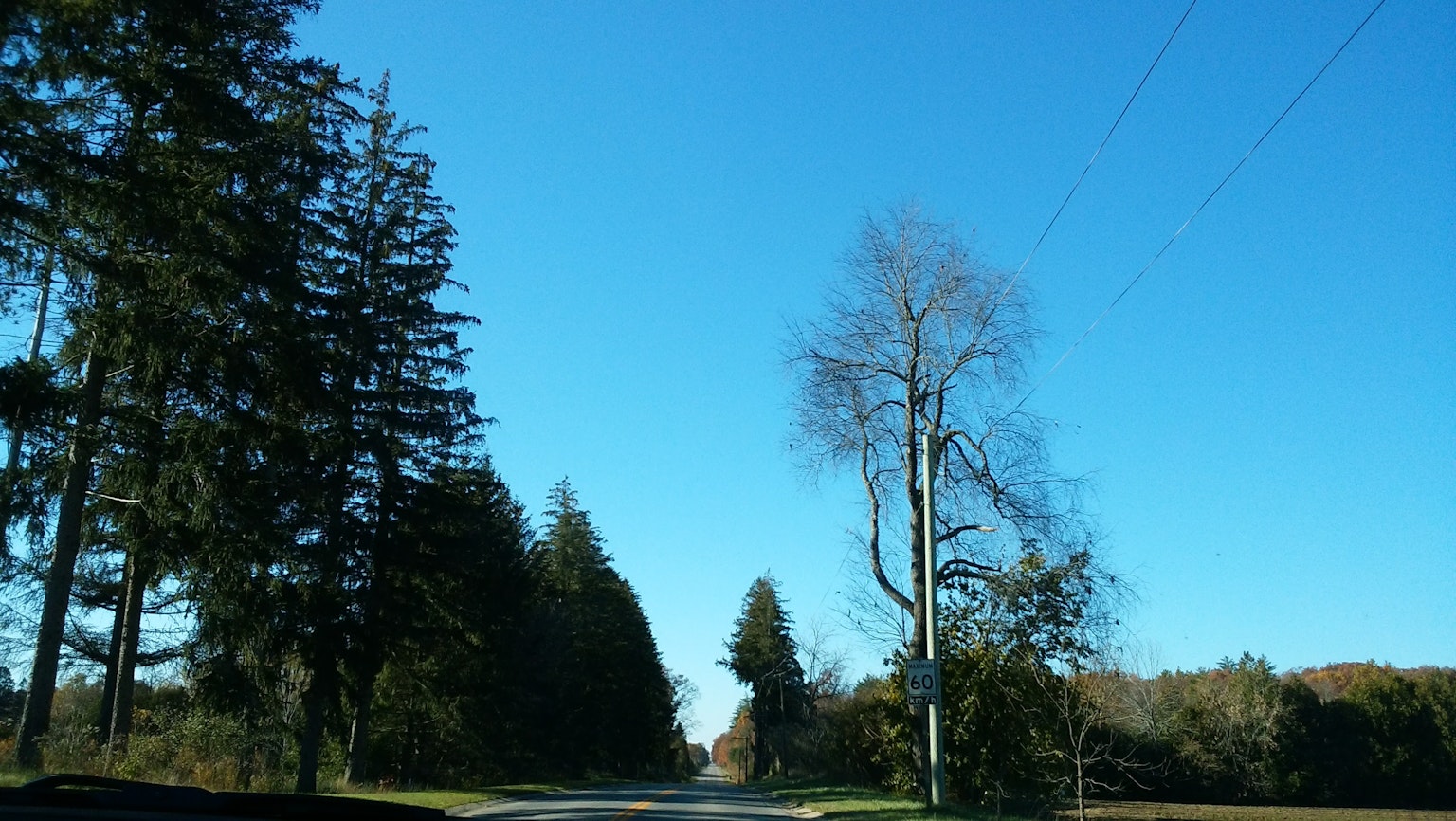 Malersicher Blick auf Bäume und Straße unter einem klaren blauen Himmel
