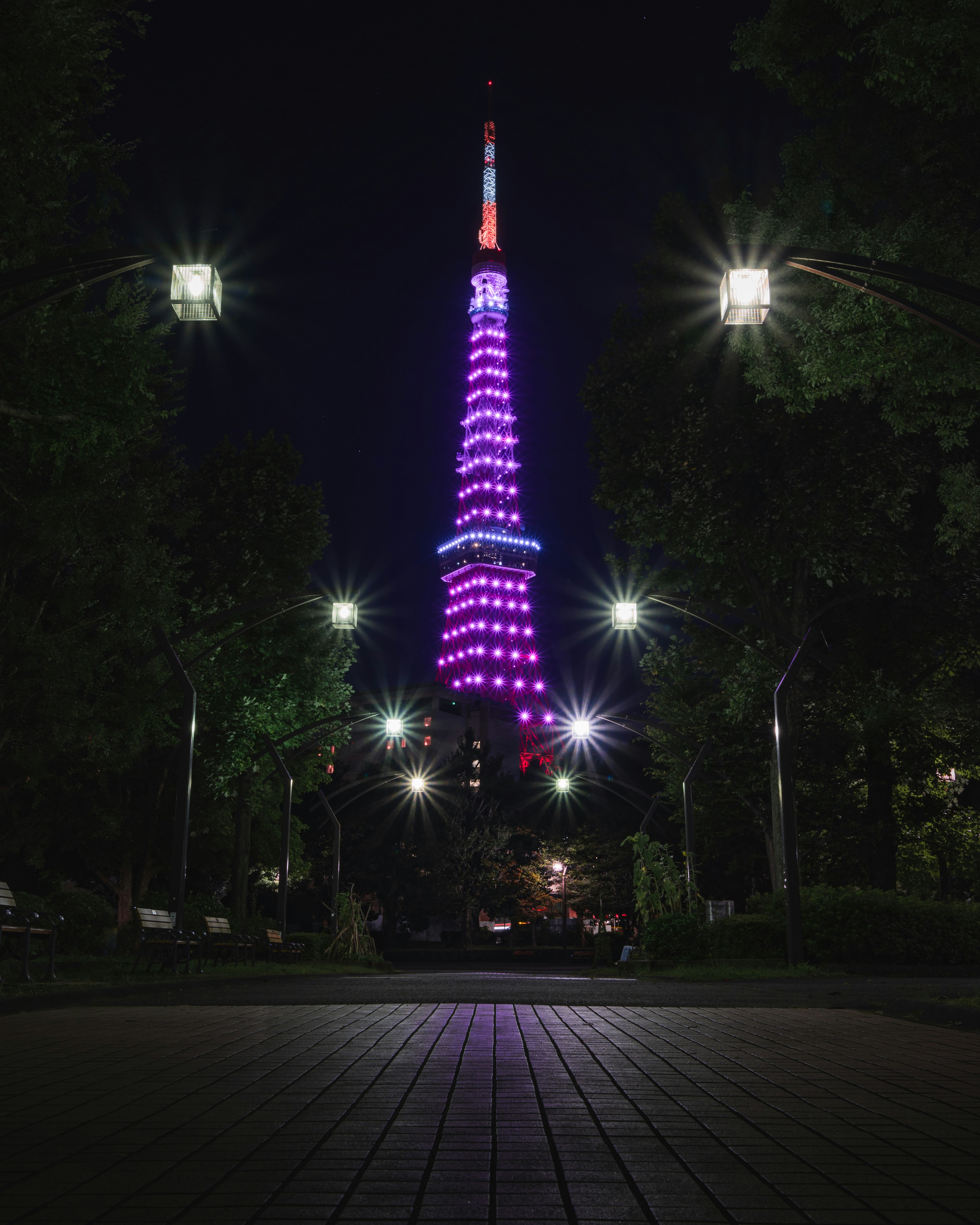 夜の東京タワーを街灯と並木のある広場から見上げる景色