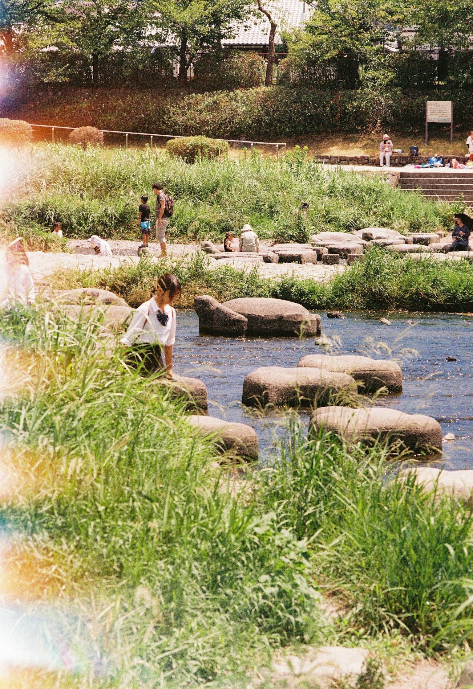 Children playing on stones in a river surrounded by green grass and trees
