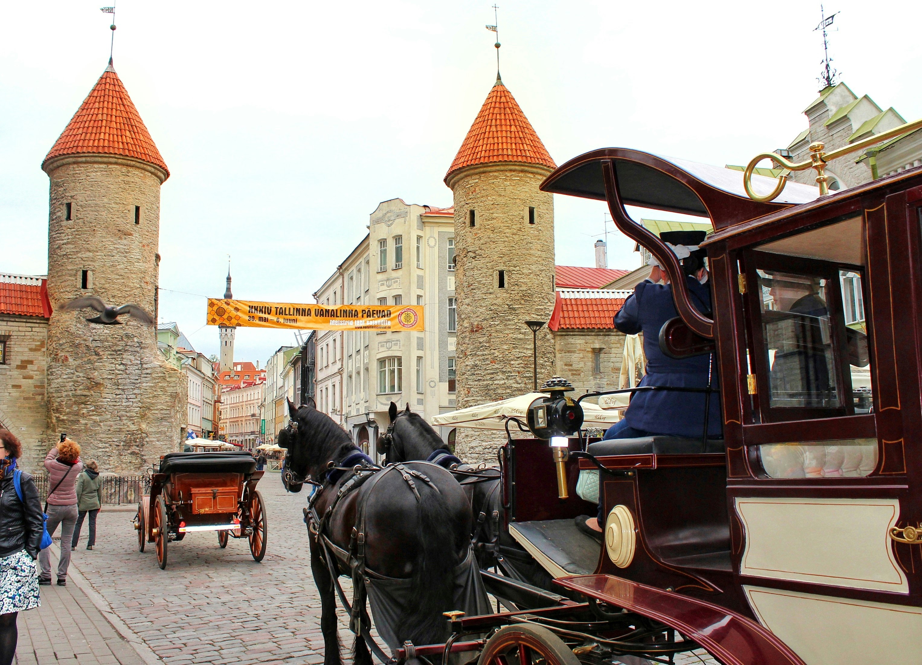 calèche tirée par des chevaux et rue pavée dans le centre historique de Tallinn