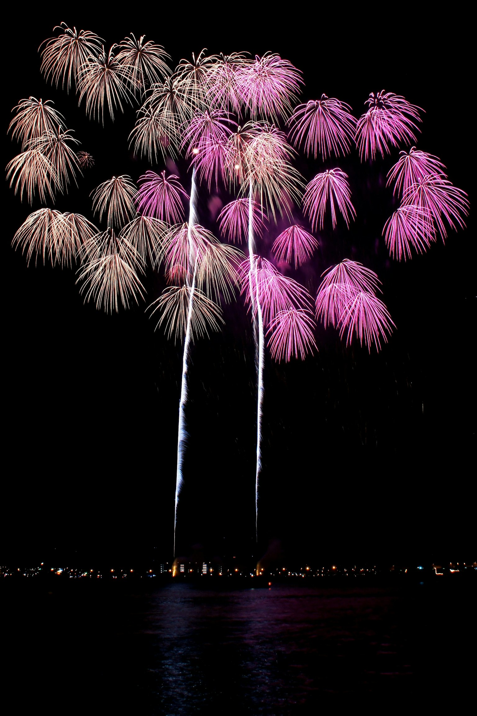 Beautiful display of fireworks in the night sky featuring pink and white colors