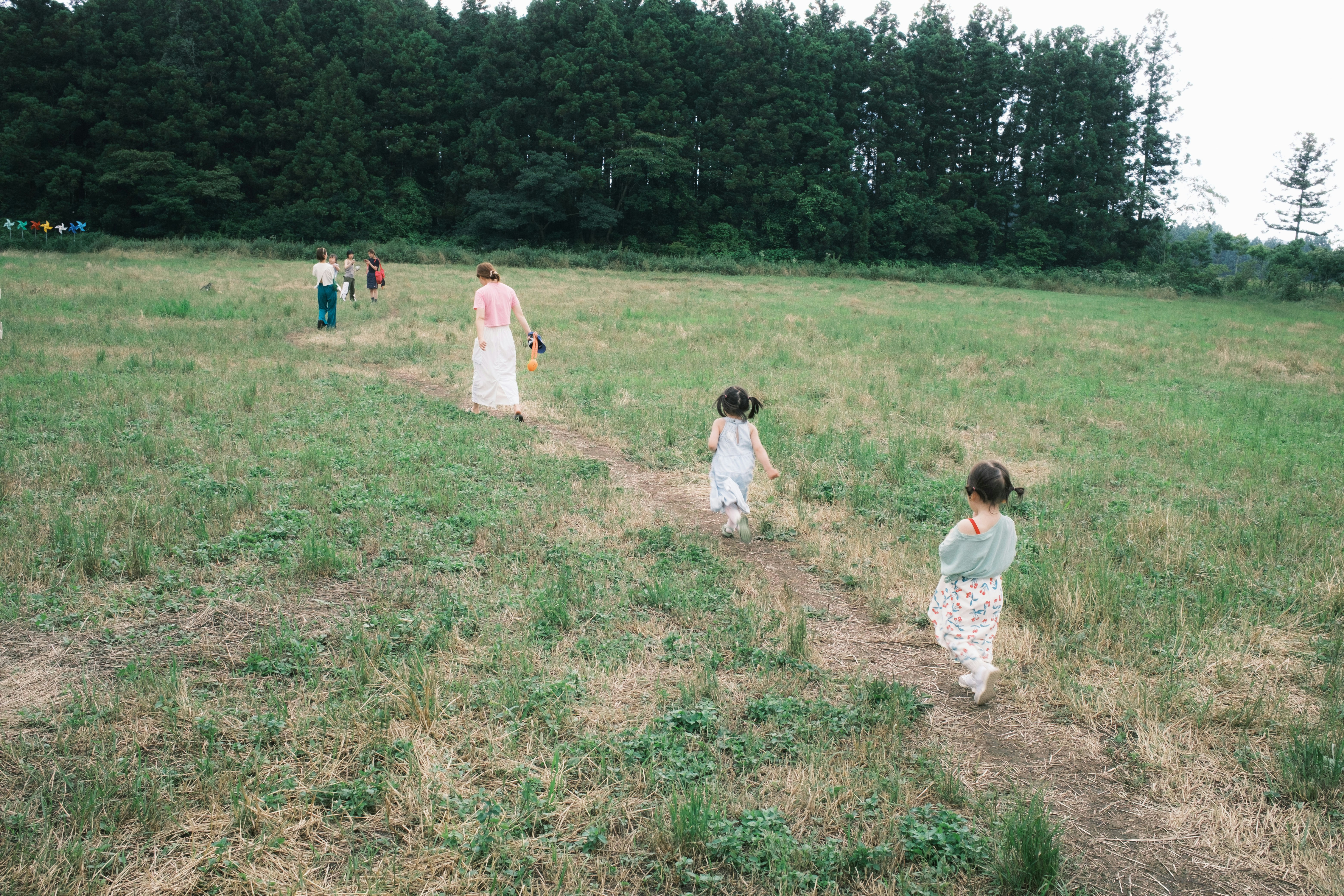 緑の草原を歩く子供たちと大人のグループ