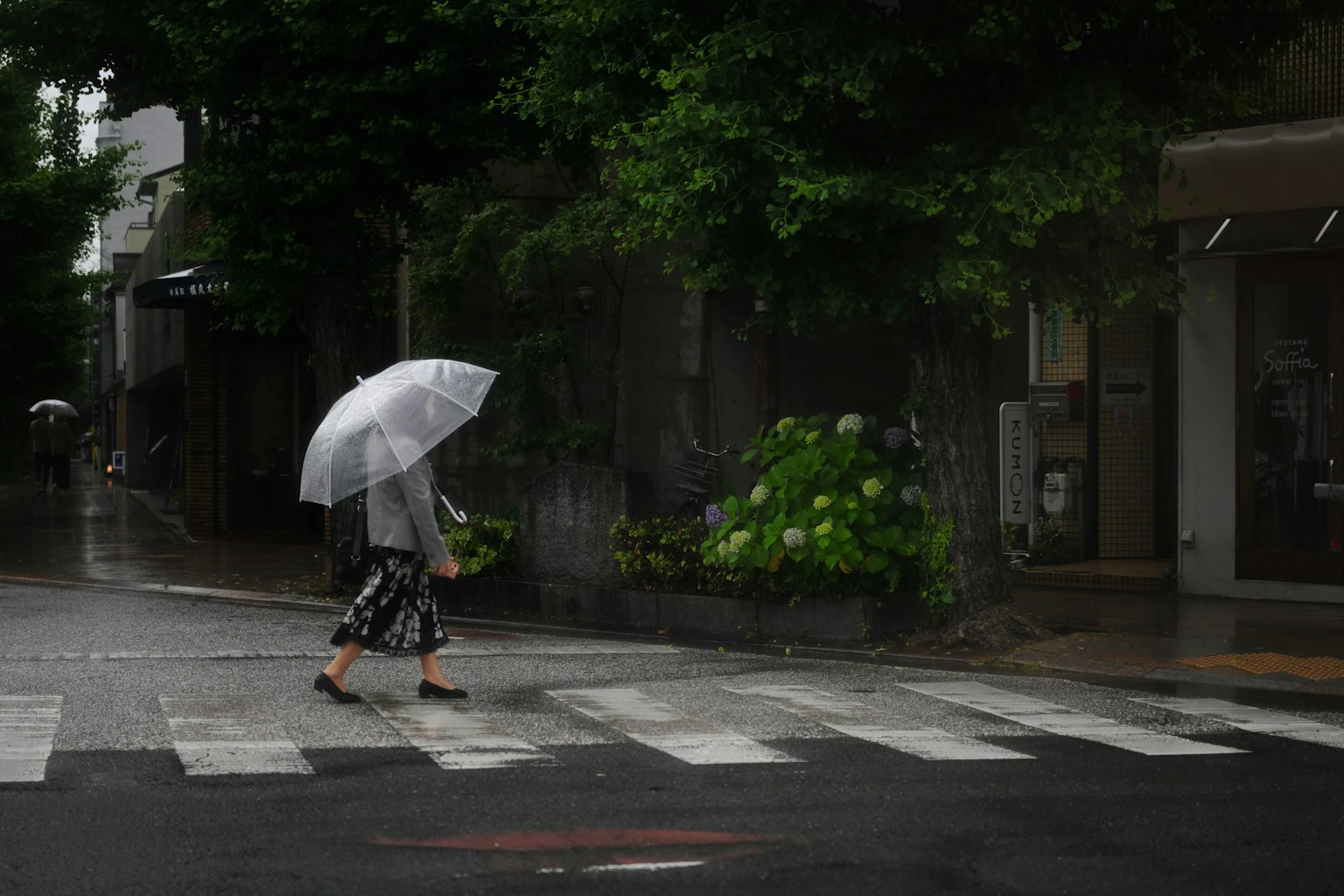 雨の中で傘を持って歩く女性が横断歩道を渡る
