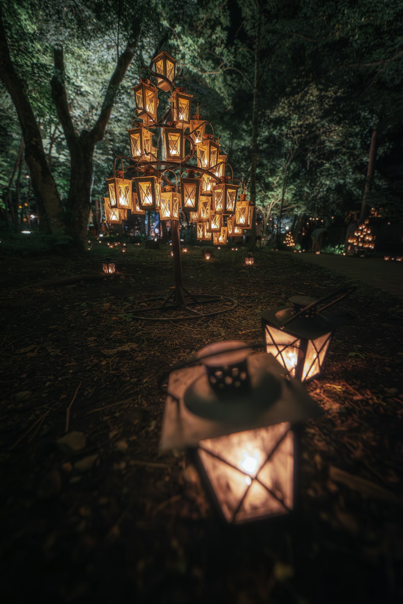 A magical tower of lanterns glowing in a dark forest