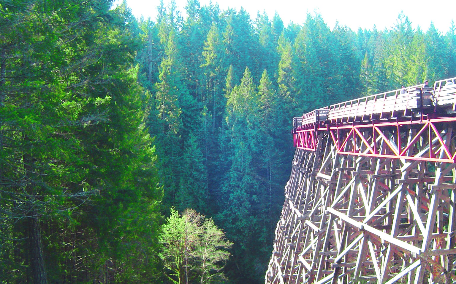 Aussicht auf eine Holzbrücke umgeben von üppigem grünem Wald