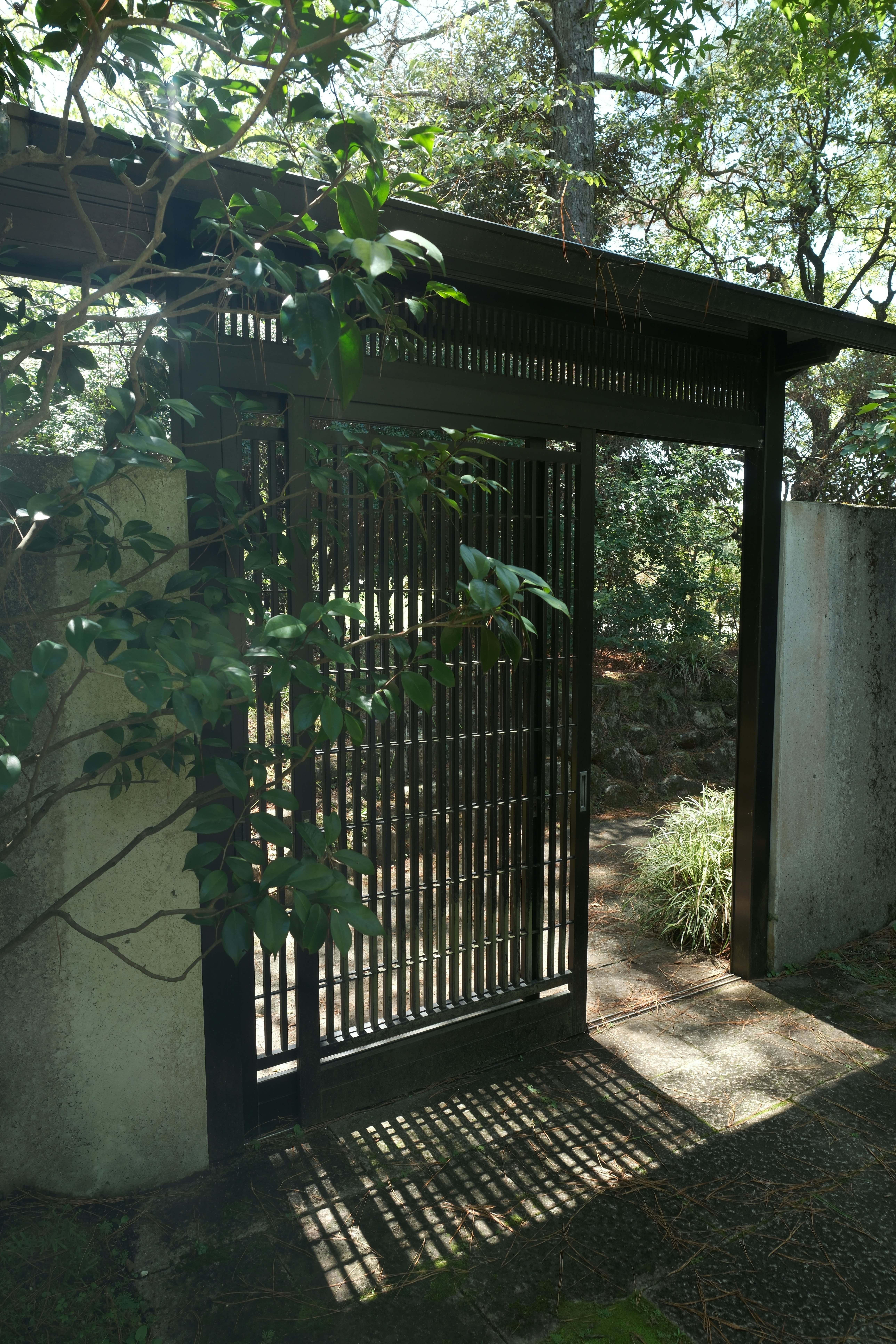 Khu vực cổng lối đi nhỏ bao quanh bởi cây xanh
