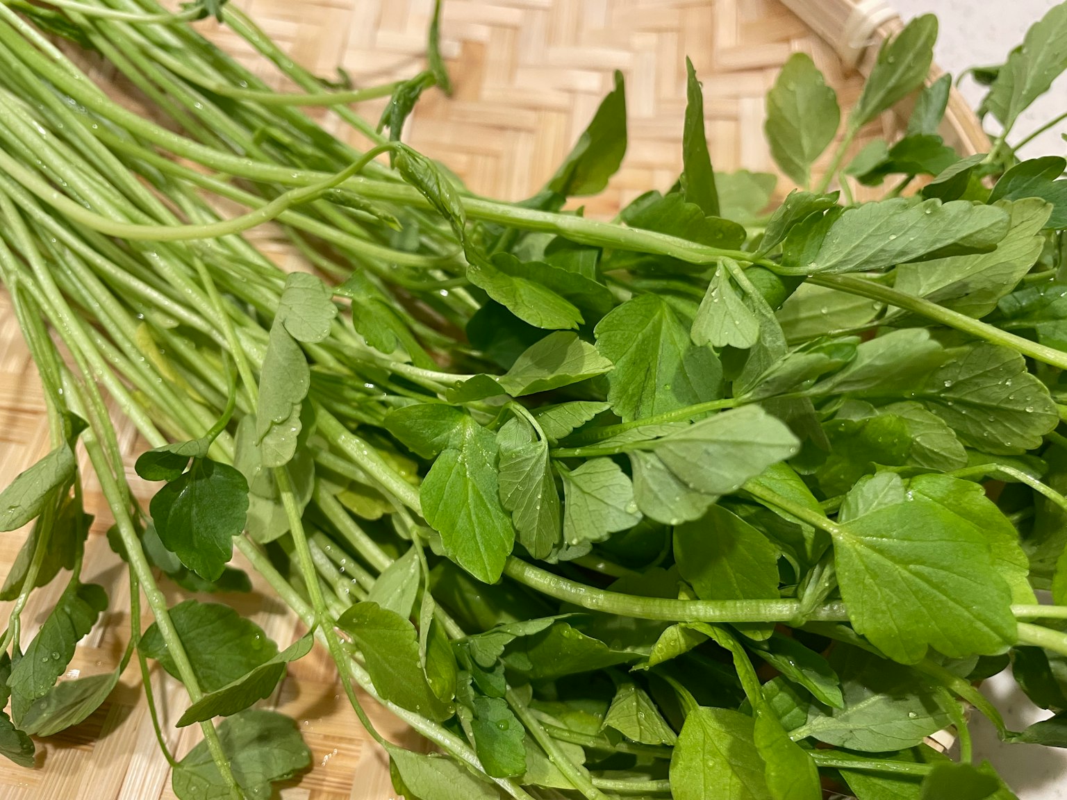 A bunch of fresh herbs placed on a woven basket