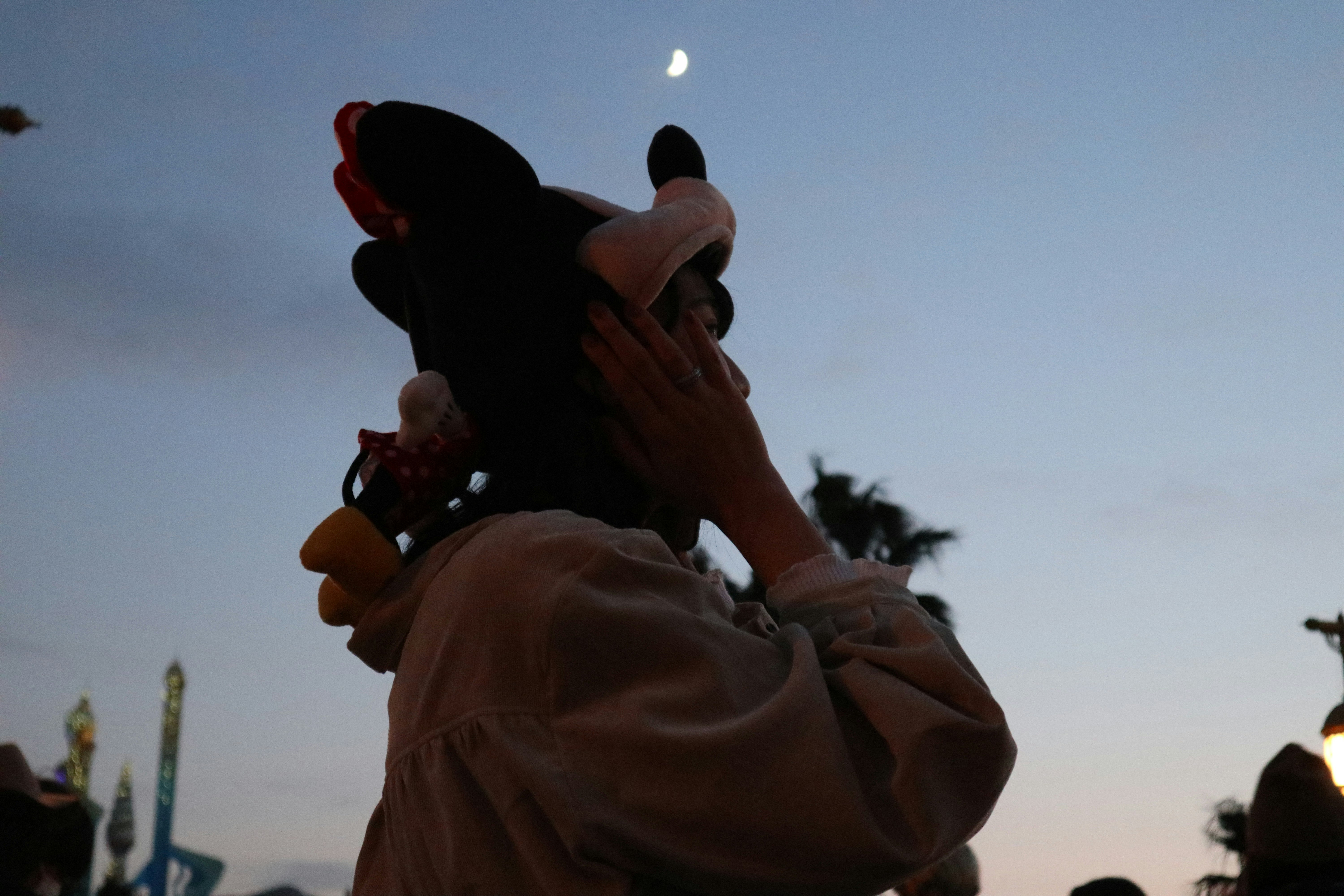 夕暮れの空の下で抱き上げられる子ども