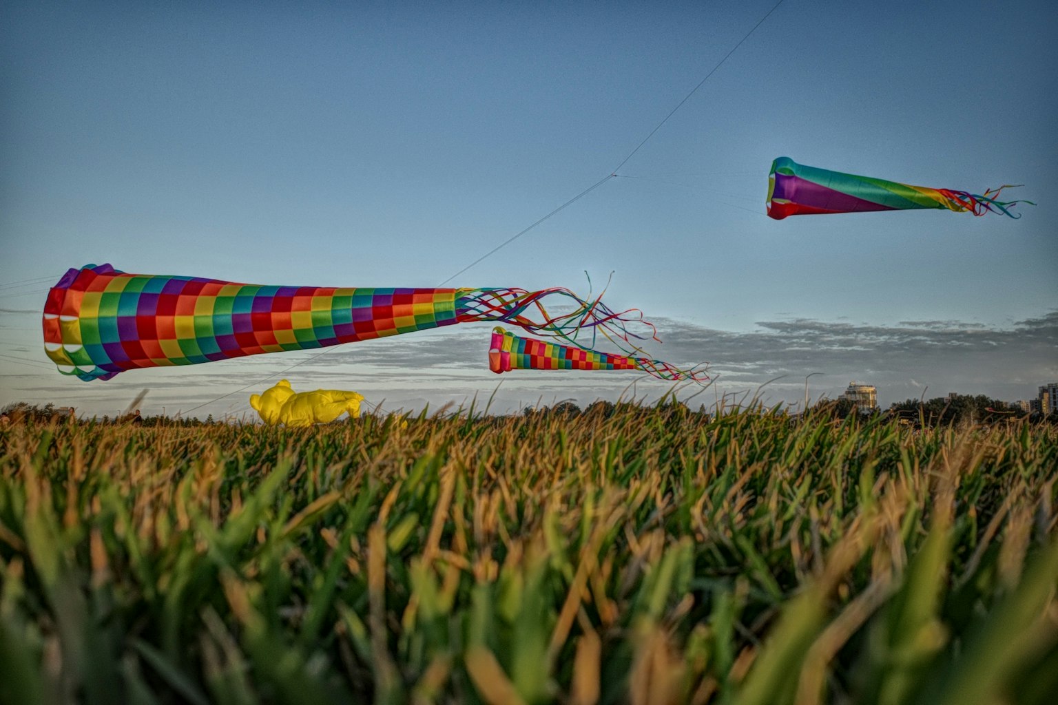 カラフルな凧が空に舞い上がる風景 緑の草原と青空が広がる