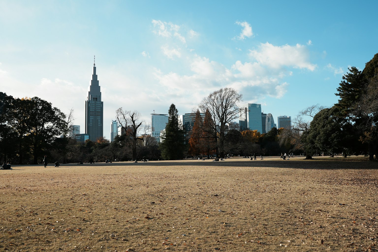 寬闊的公園景觀展示城市天際線與帝國大廈