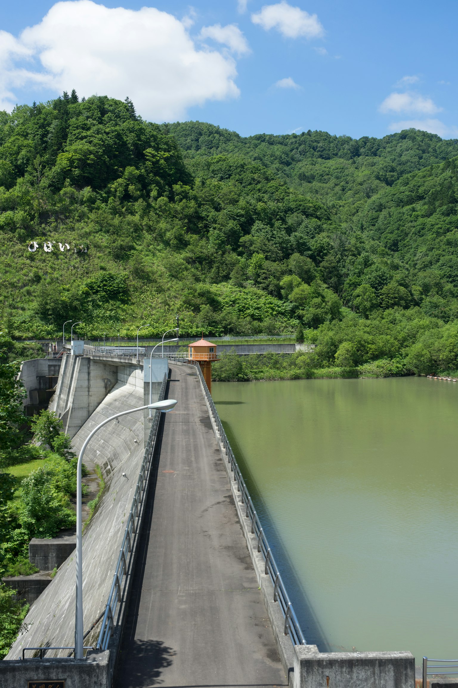 Diga circondata da montagne verdeggianti e superficie d'acqua calma