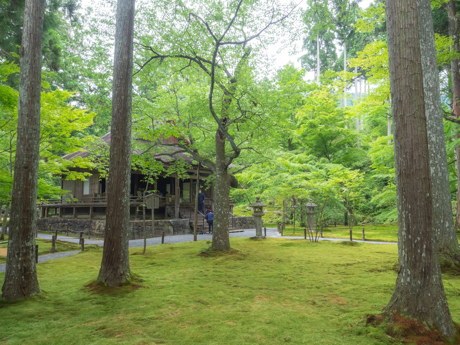 Traditional Japanese building surrounded by lush green forest and trees