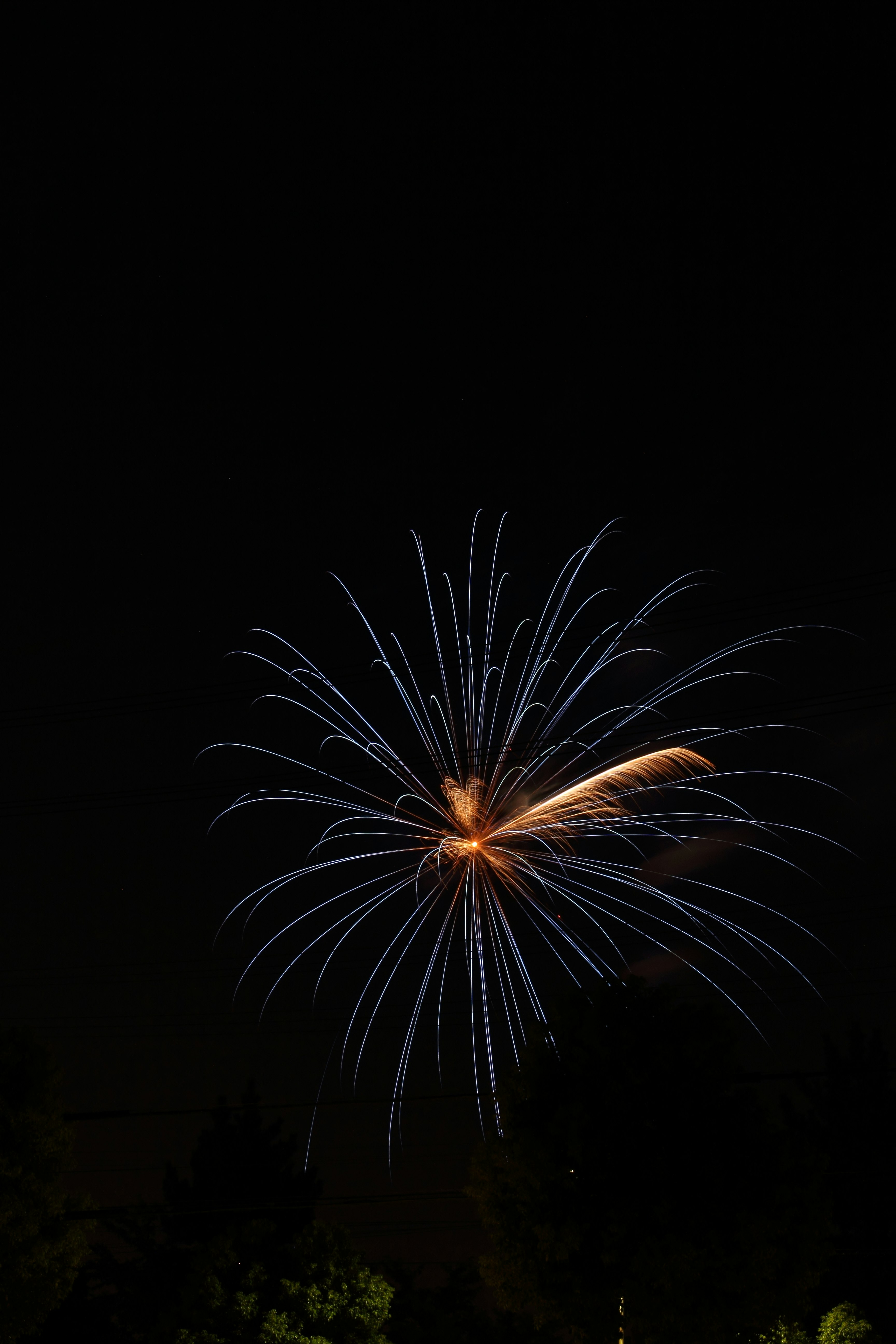 黒い夜空に咲く花火の光