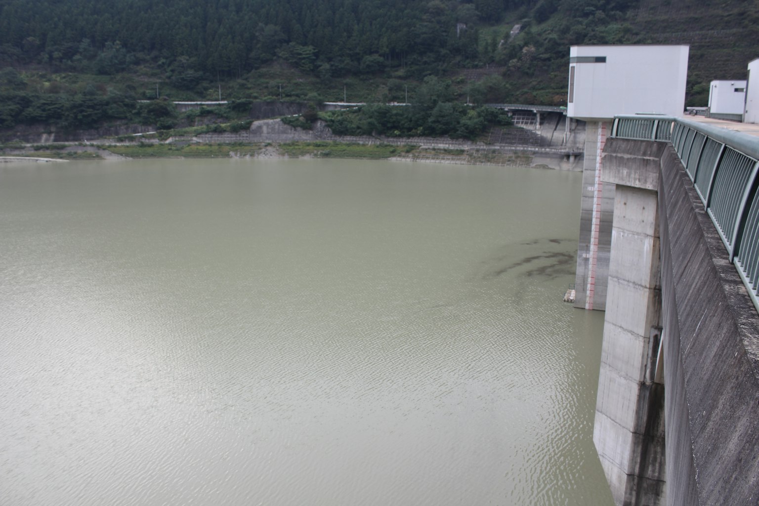 Struttura in cemento di una diga con superficie d'acqua verde torbida