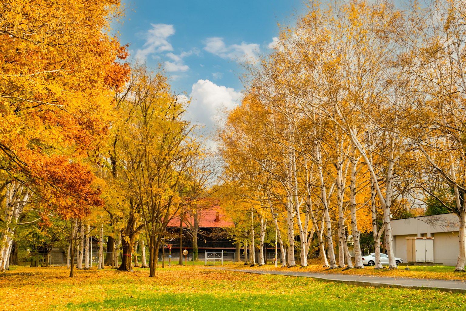 Alberi autunnali vibranti con una casa sotto un cielo blu