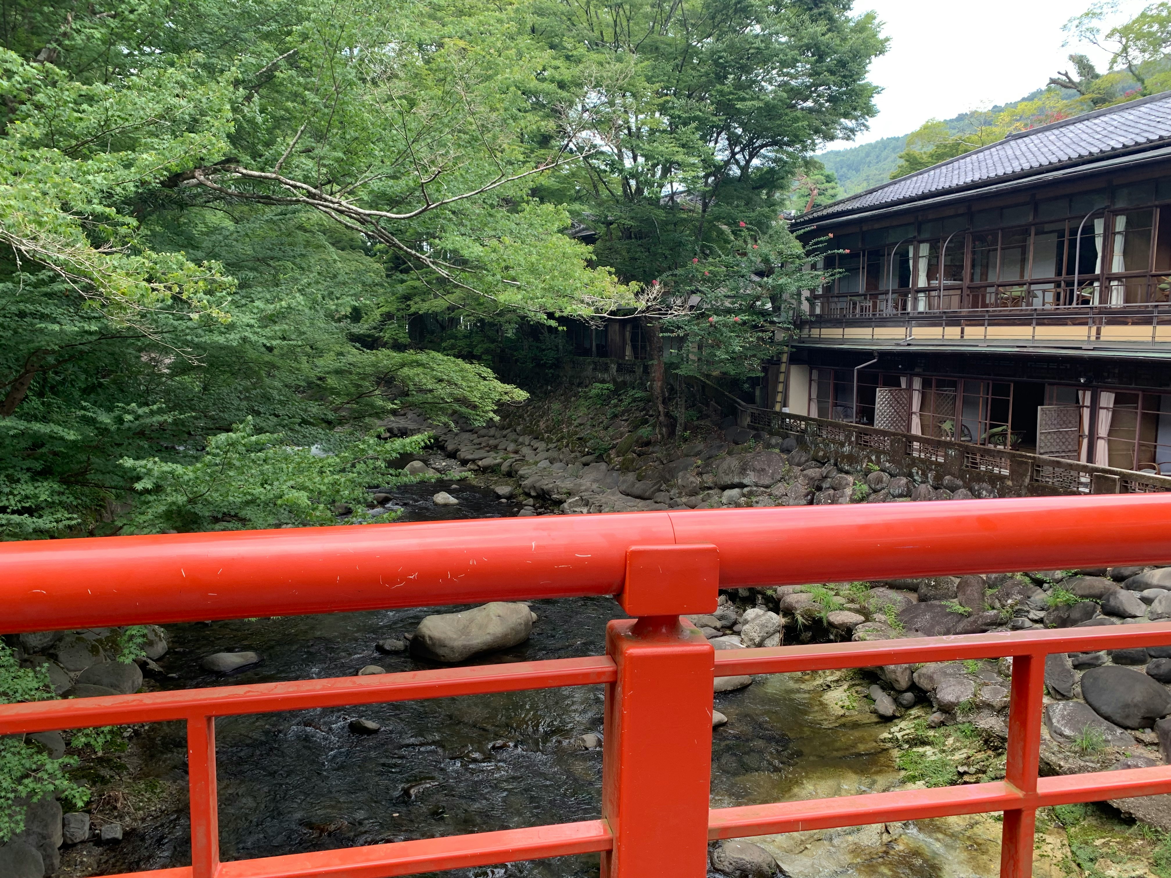 赤い欄干と渓流、緑の庭園に面した木造建物