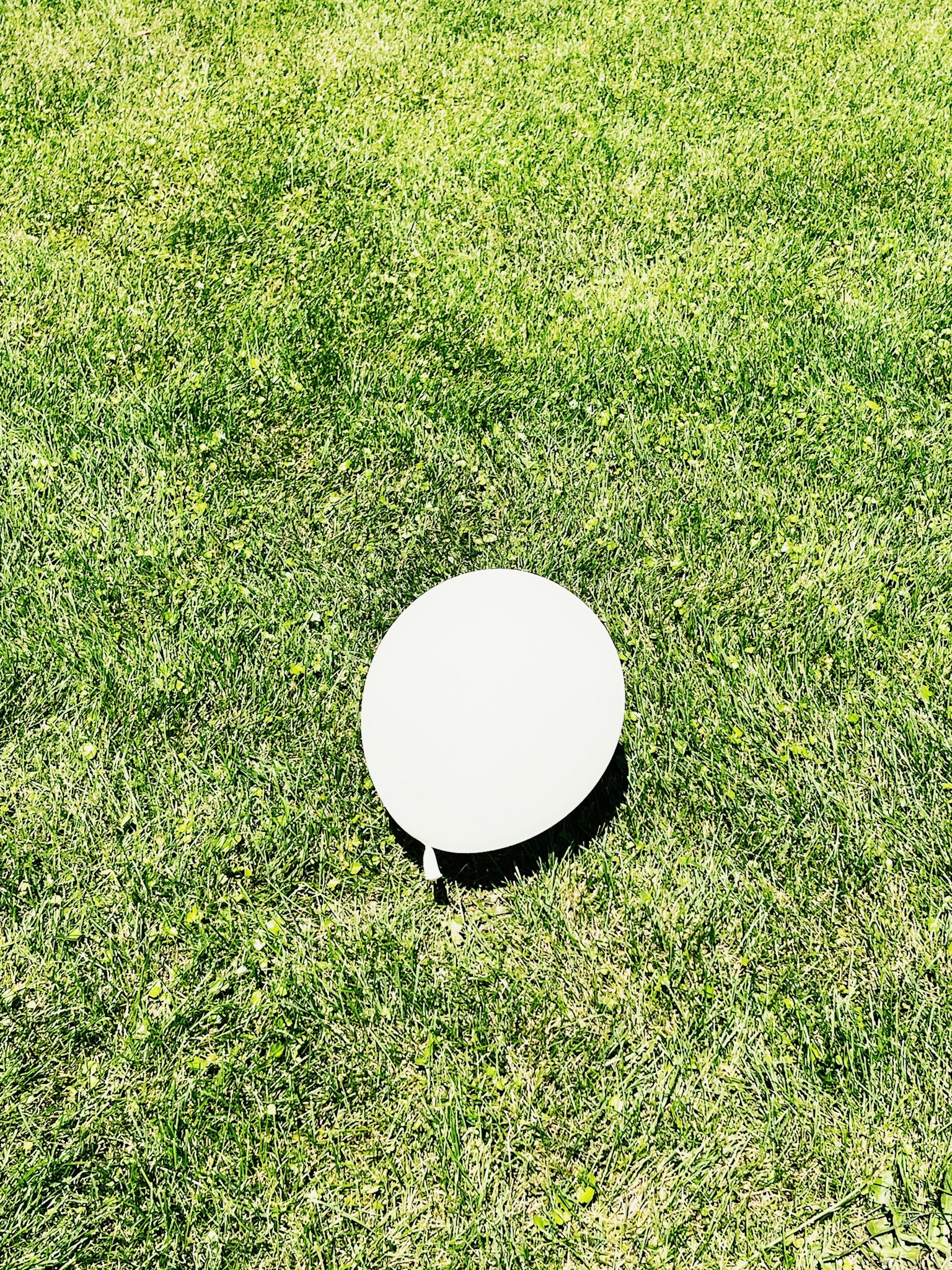 Ein weißes, rundes Objekt auf grünem Gras
