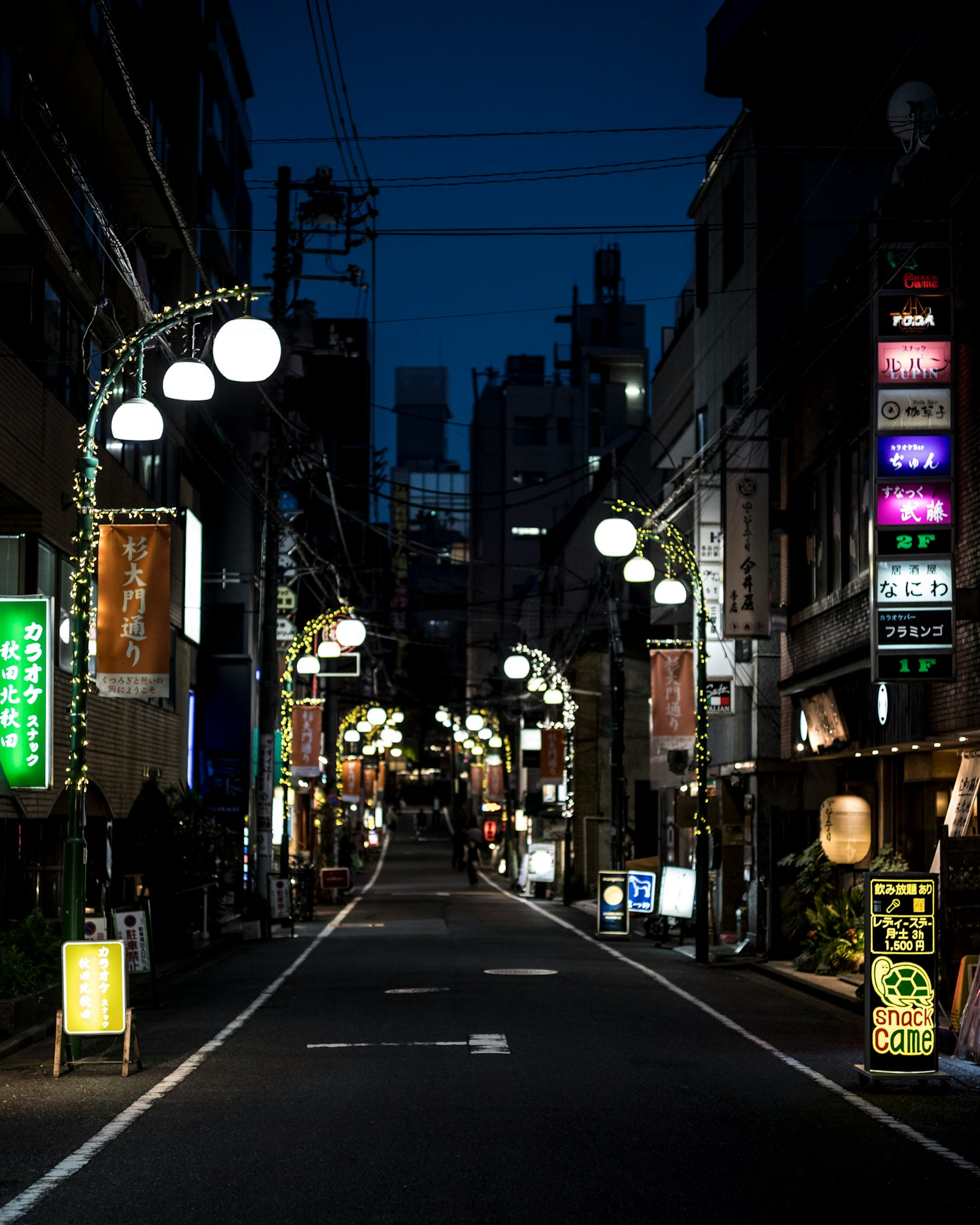 夜の街並みに並ぶ提灯とネオン看板のある通り