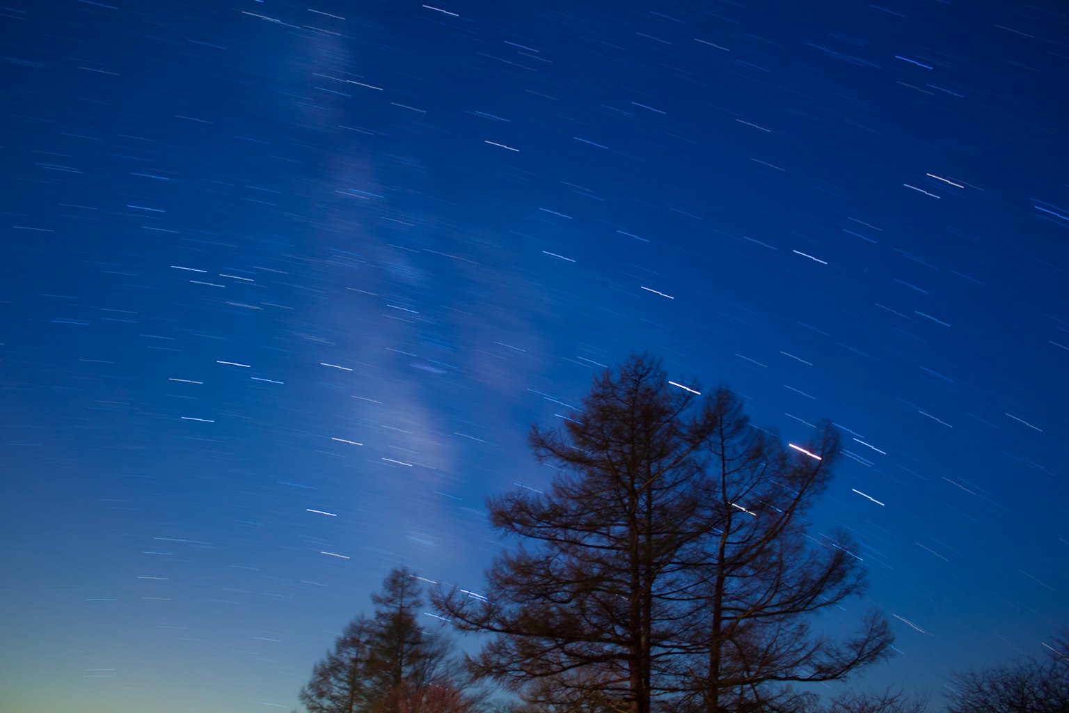 Night sky with star trails and trees silhouetted