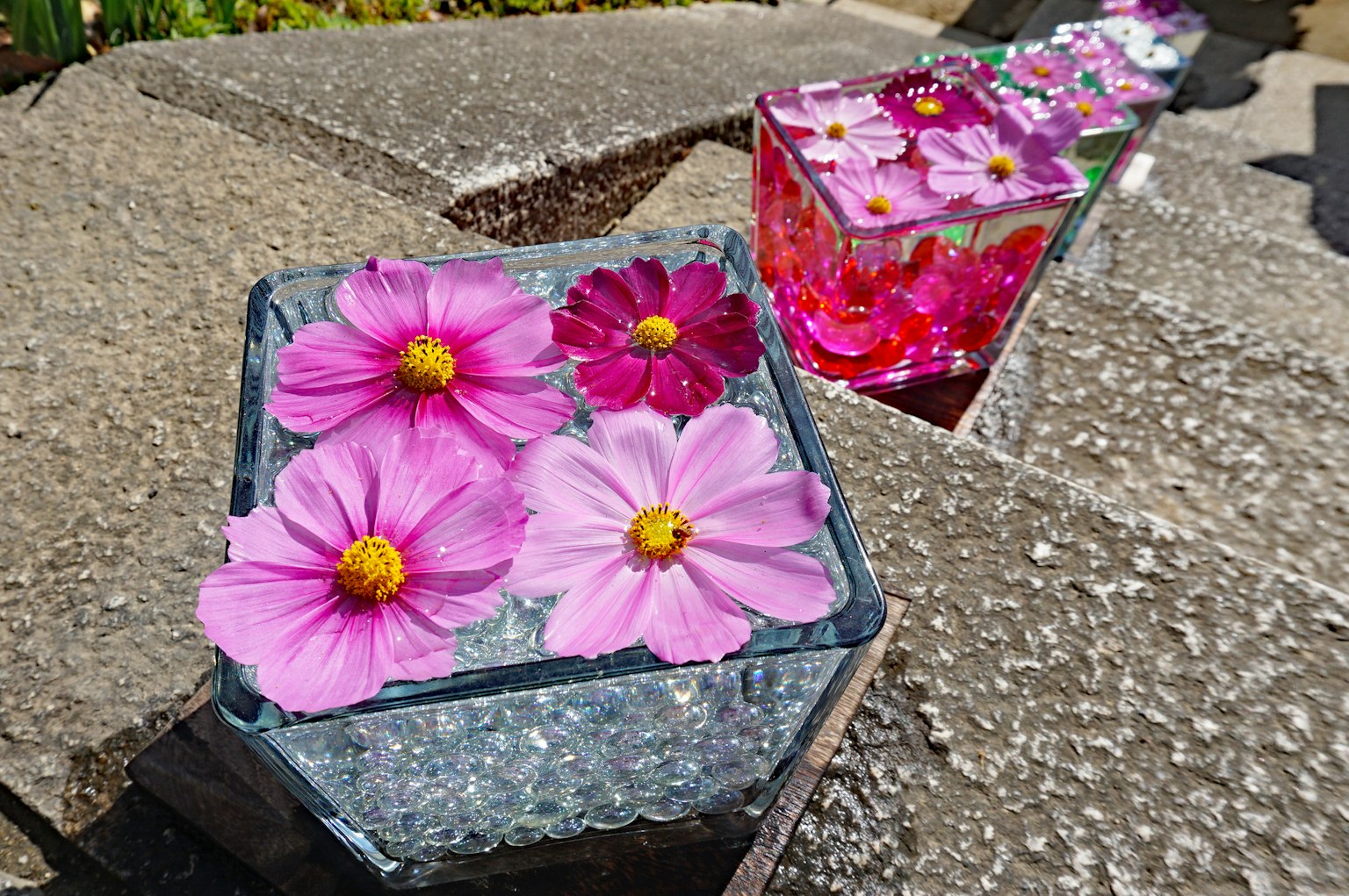 透明容器中漂浮的粉紅色花朵和冰塊