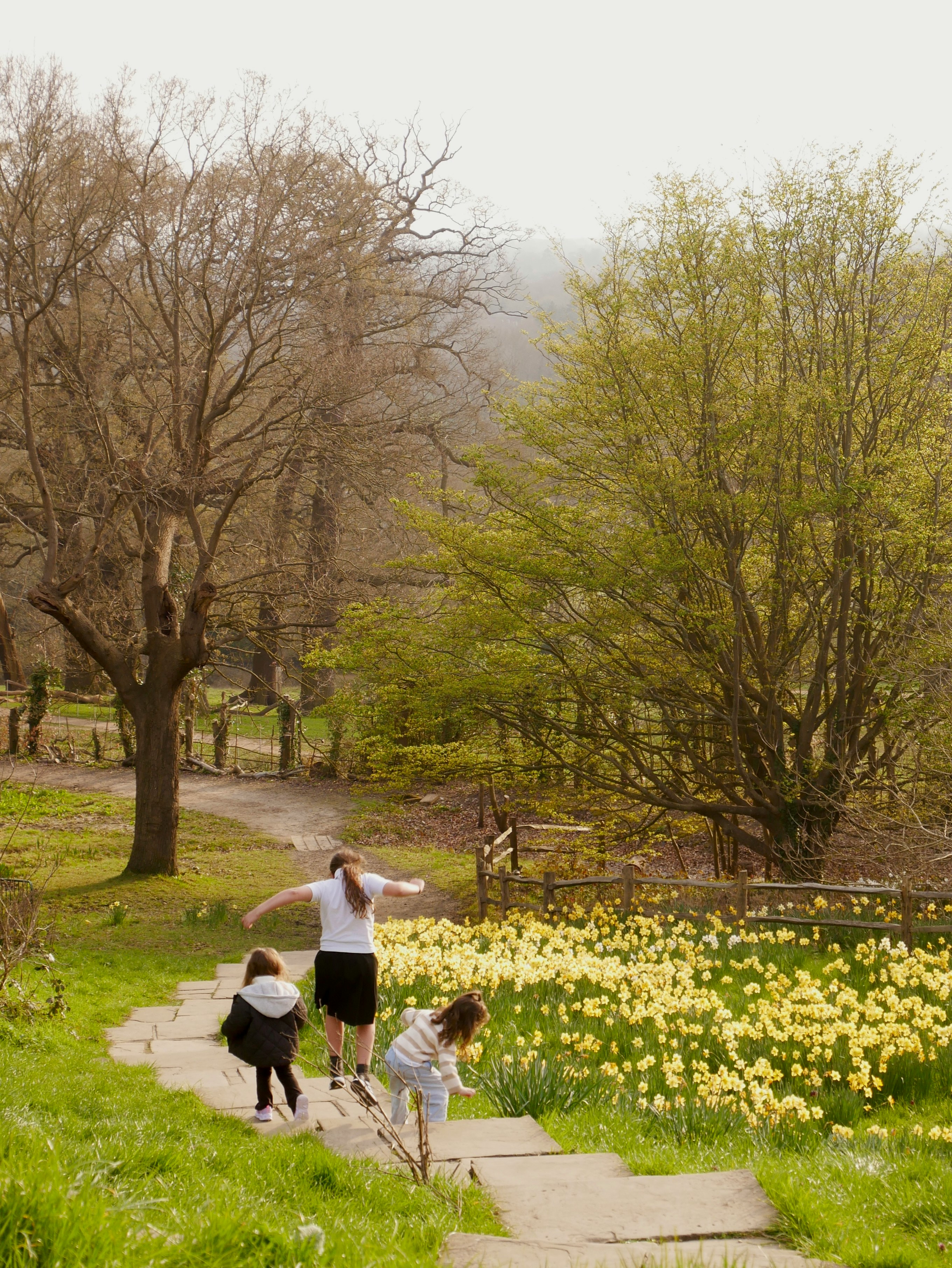 Familie, die einen Parkweg entlanggeht, mit Frühlingsblumen