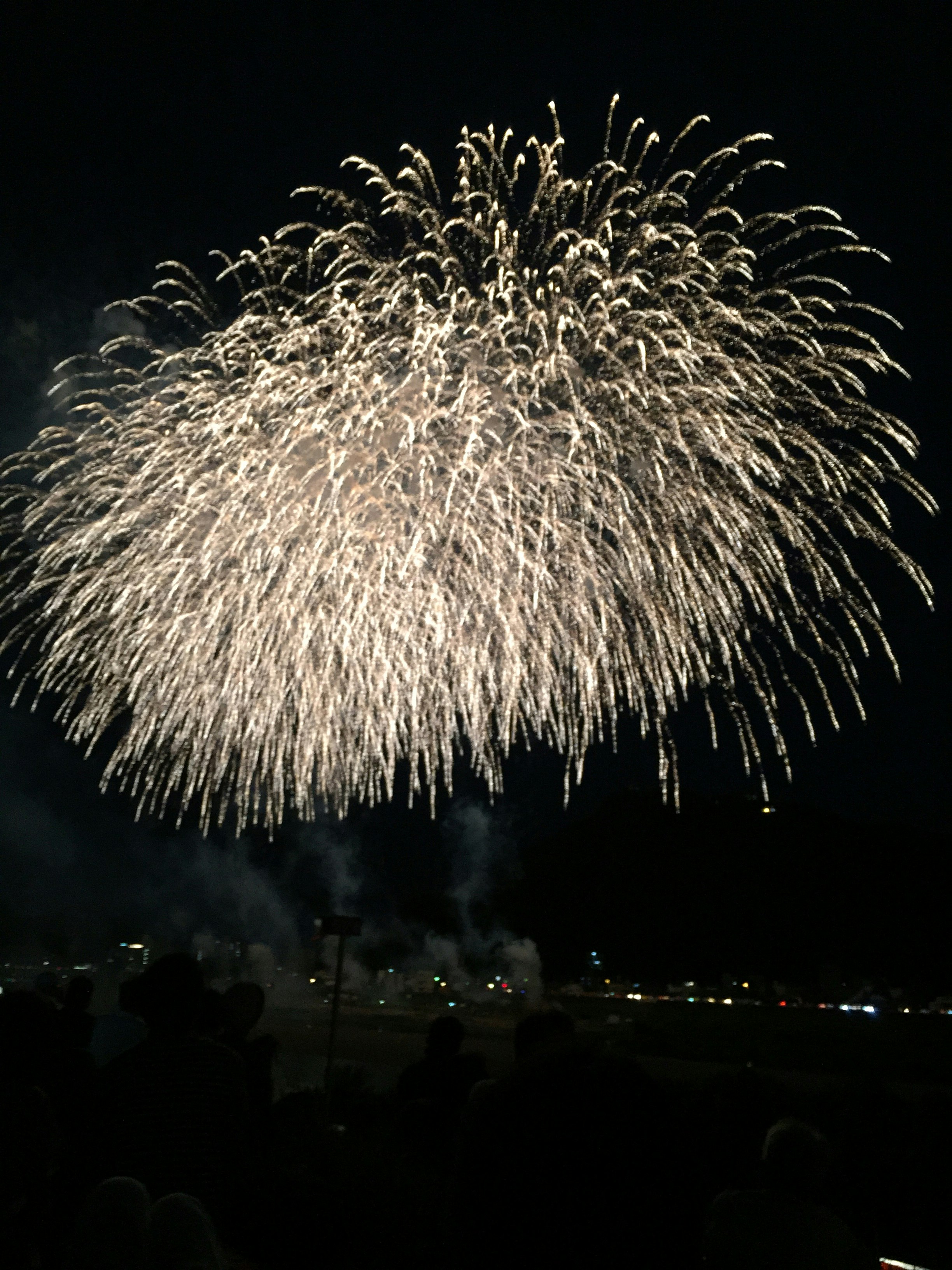夜空に広がる大輪の花火の打ち上げ