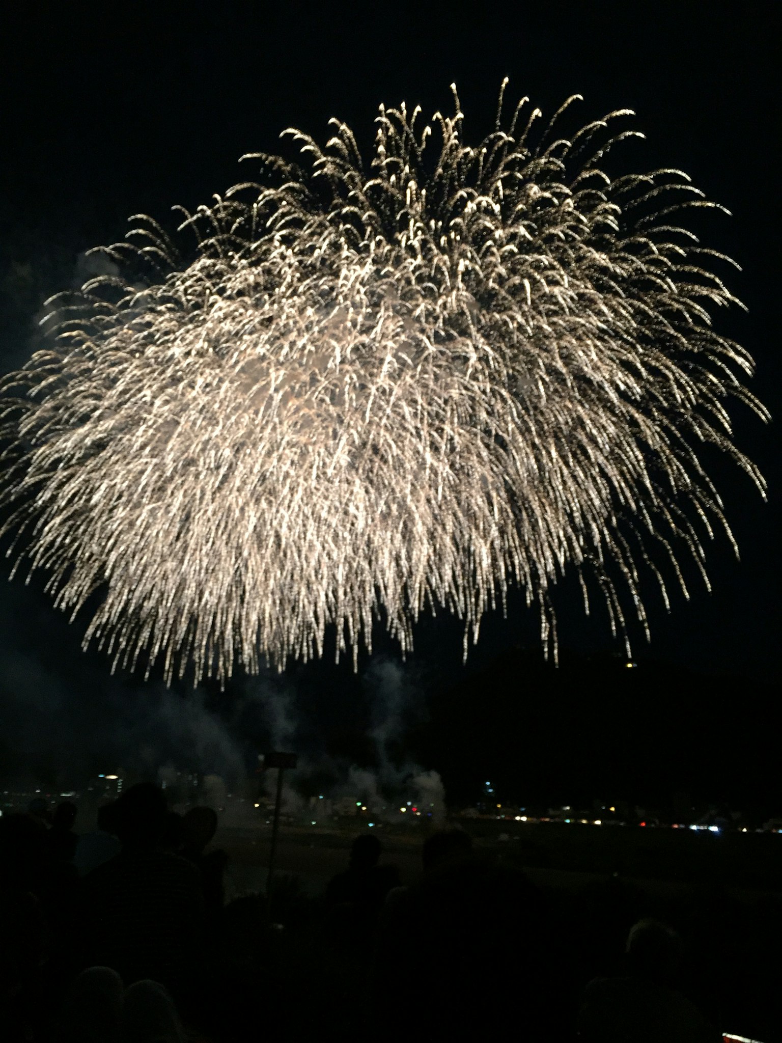 Spectacle magnifique de feux d'artifice blancs éclatant dans le ciel nocturne