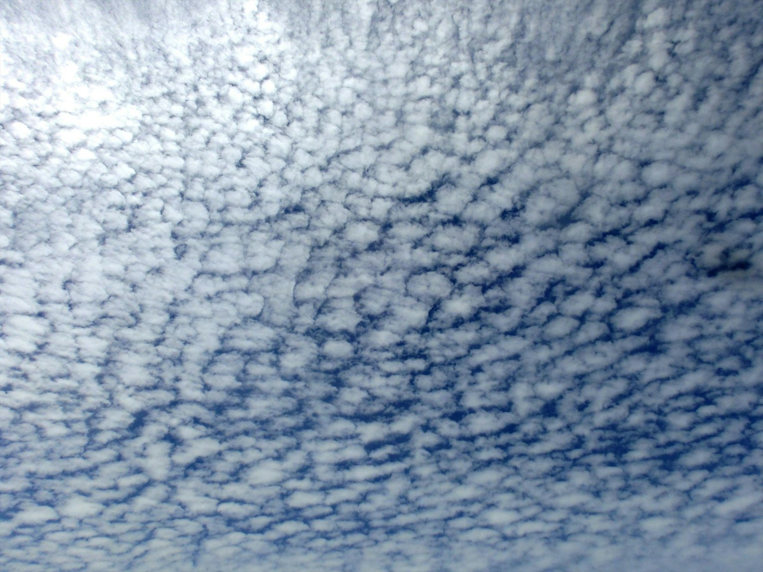 Pola awan unik yang membentang di langit biru